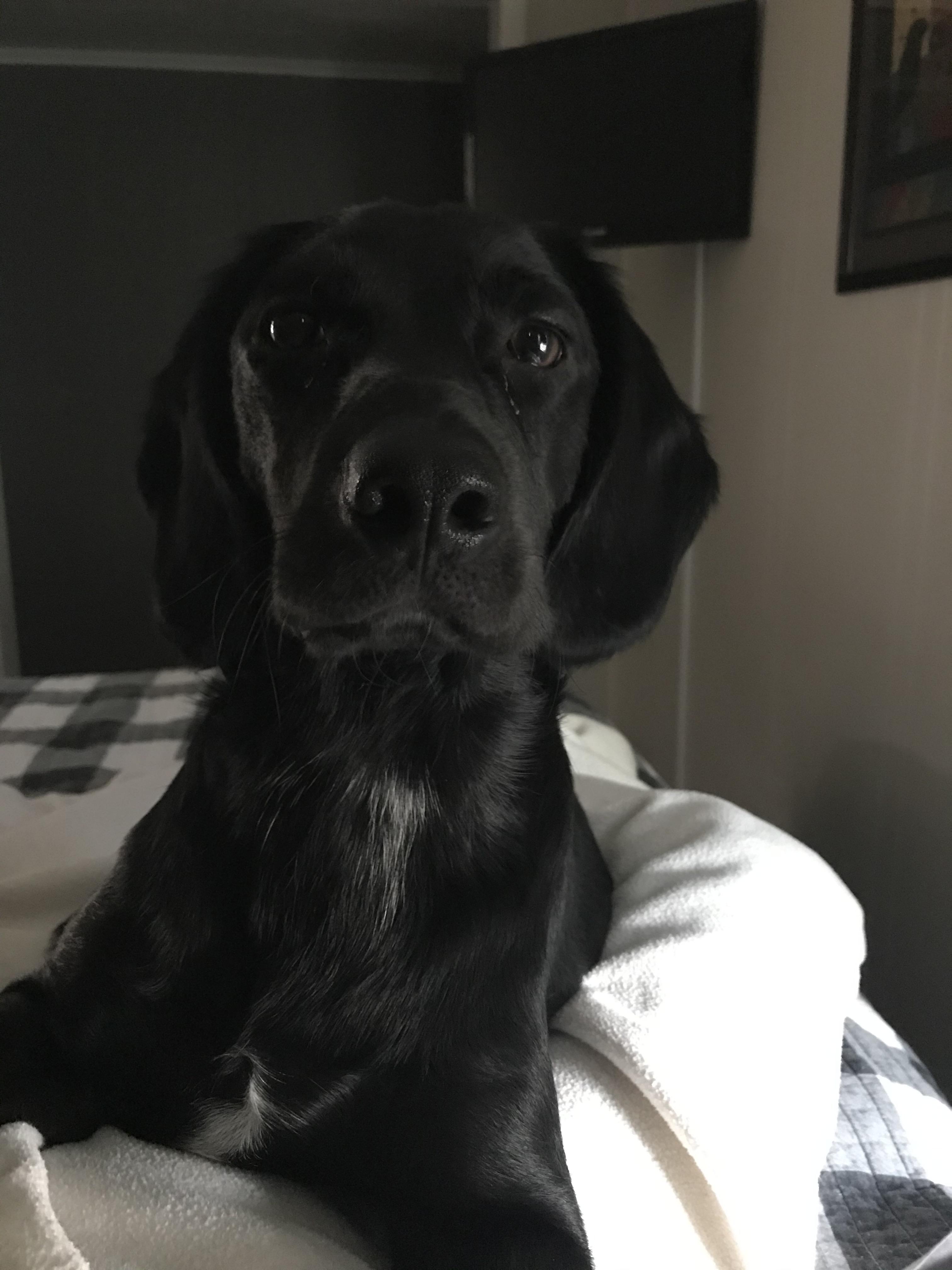 Hello, I jumped off the bed last night and slammed into the wall, been