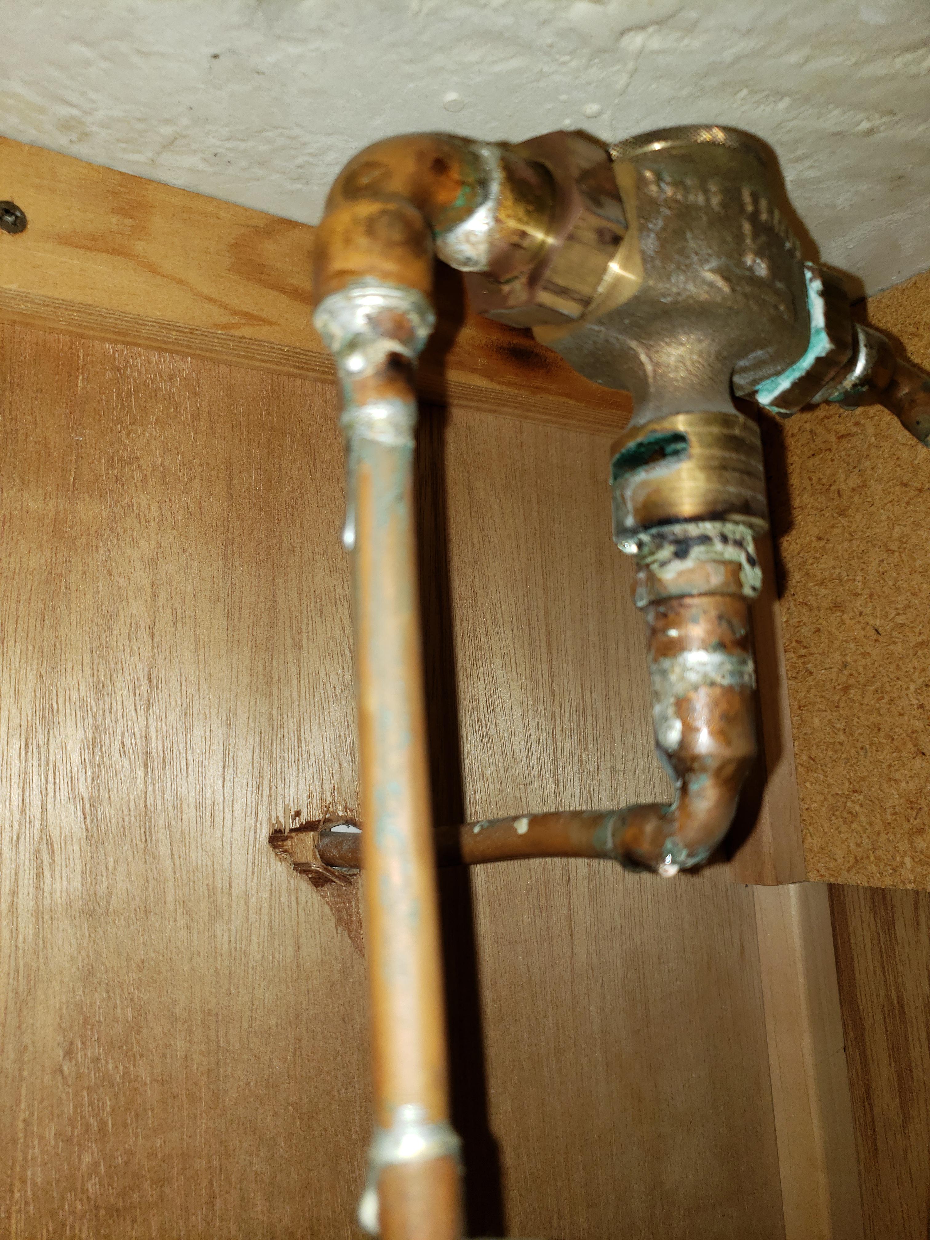 What is this? In the bathroom next to the furnace, making a gurgling