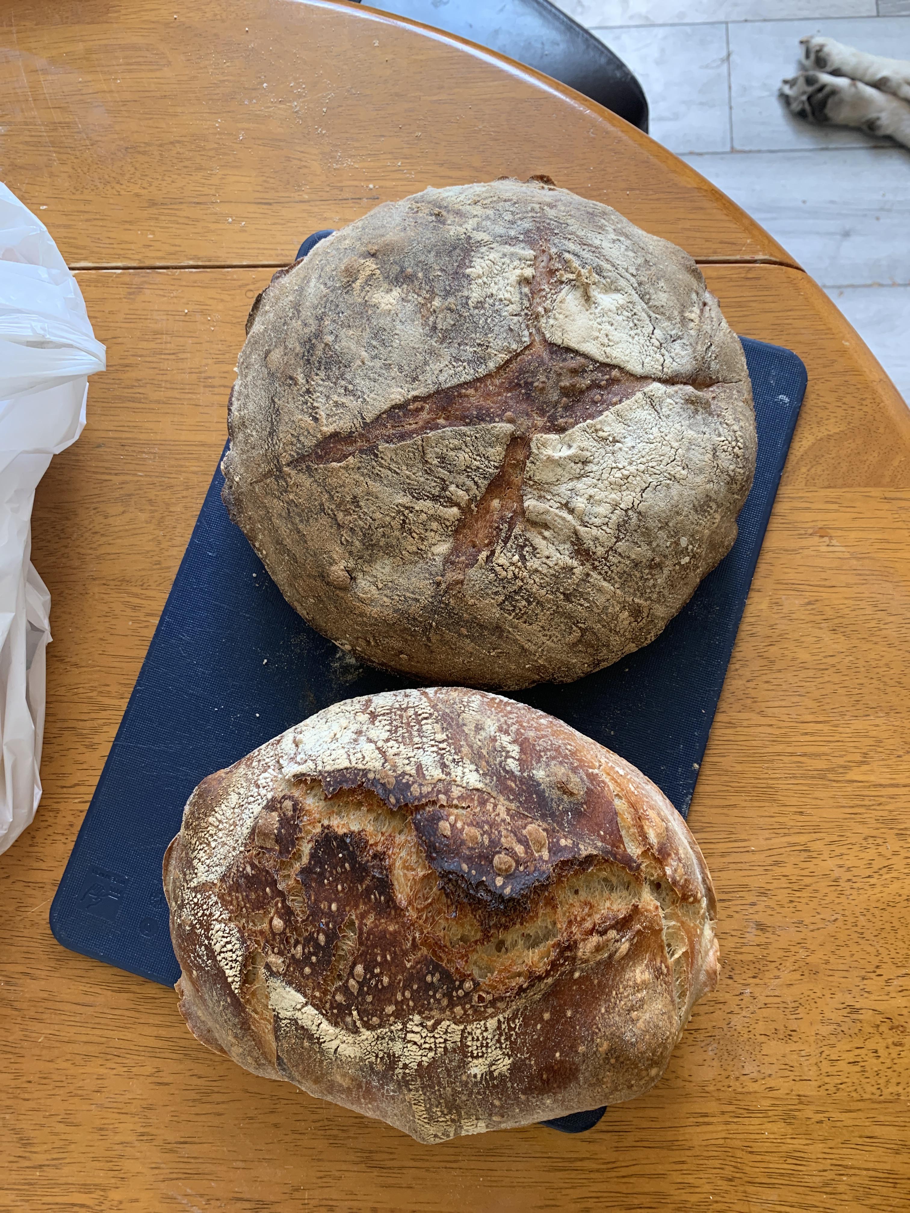 My first two sourdough breads, i’m very proud of them because i didn’t