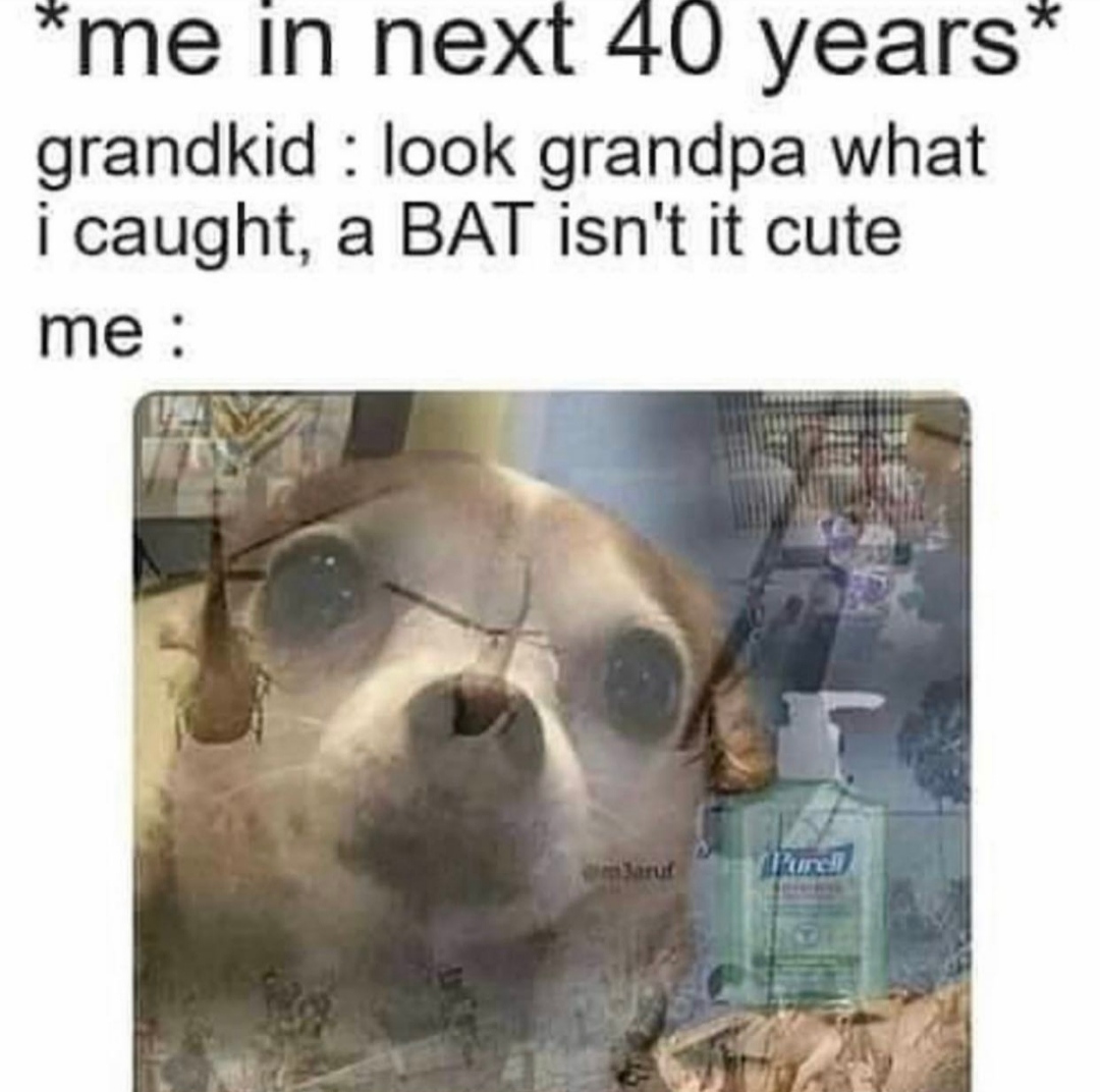 *PTSD intensifies* memes