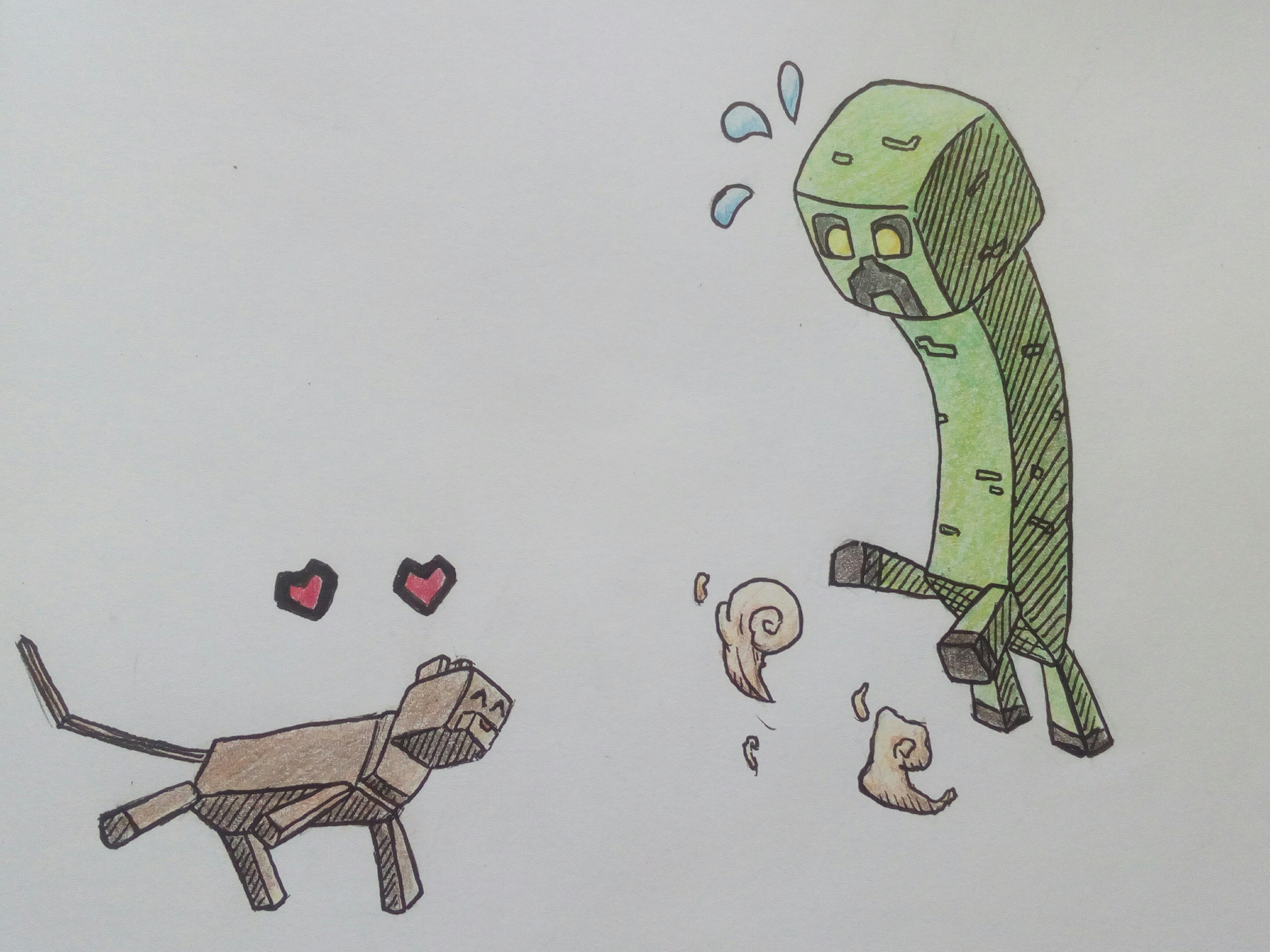 Cat and creeper r/Minecraft
