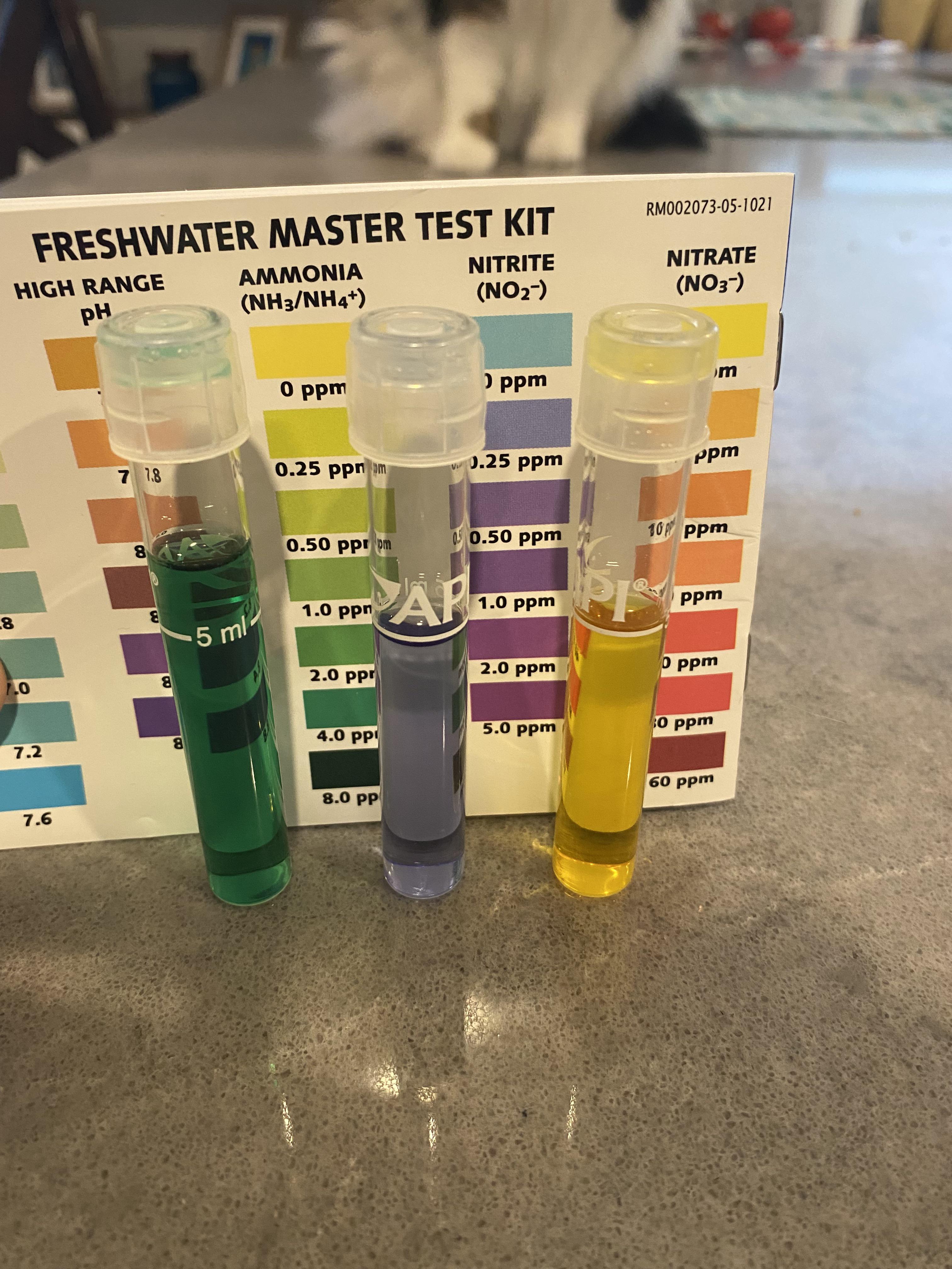 HELP! Ammonia levels remain high despite 2 water changes one 25, the