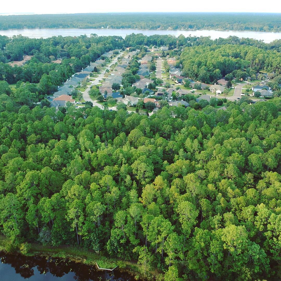 Just a picture of the houses on the river for y’all! r/jacksonville