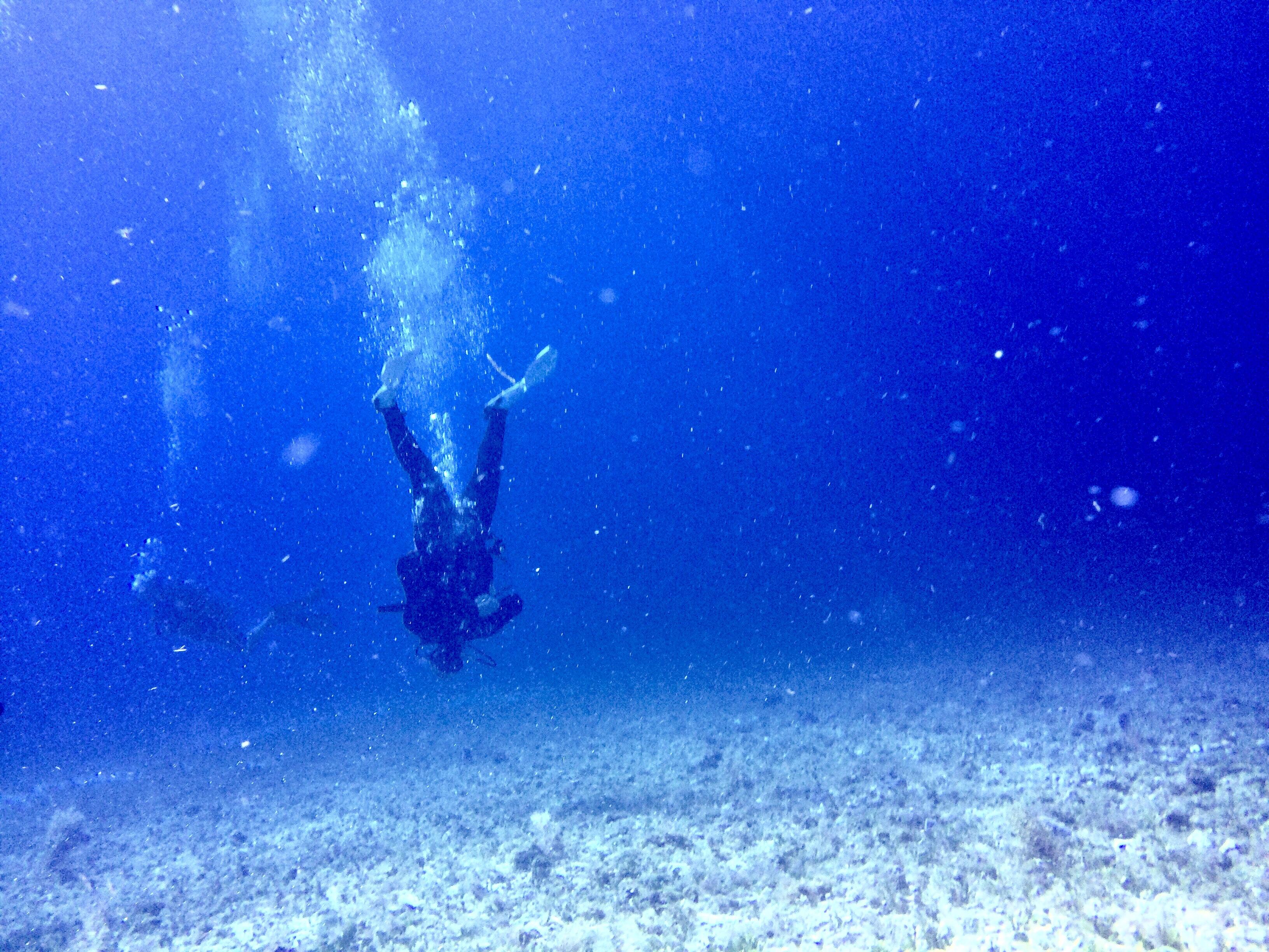 Australian Style drift diving at Scuba Club Cozumel, MX r/scuba