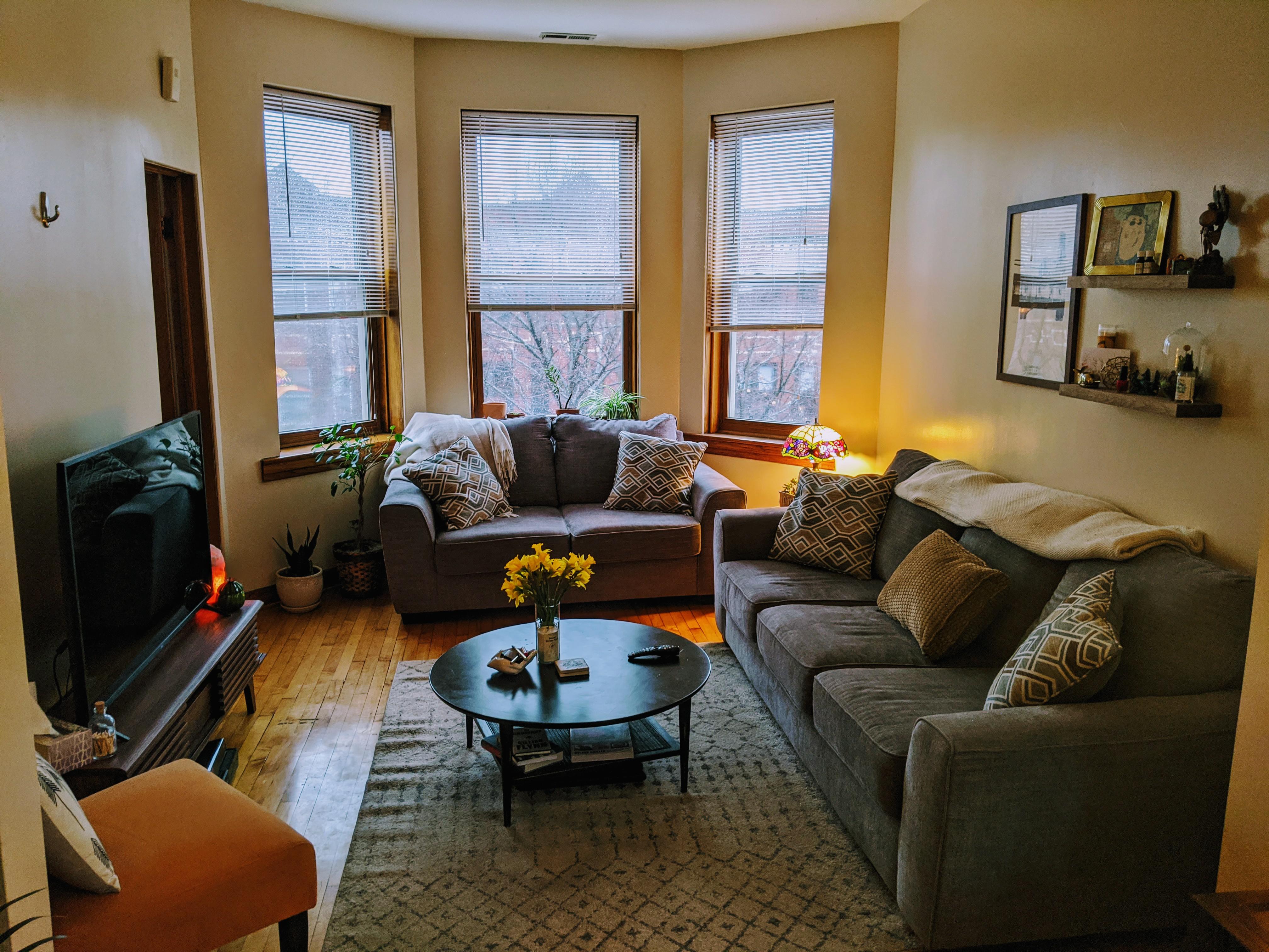 My living room in Ukrainian Village in Chicago. r/AmateurRoomPorn