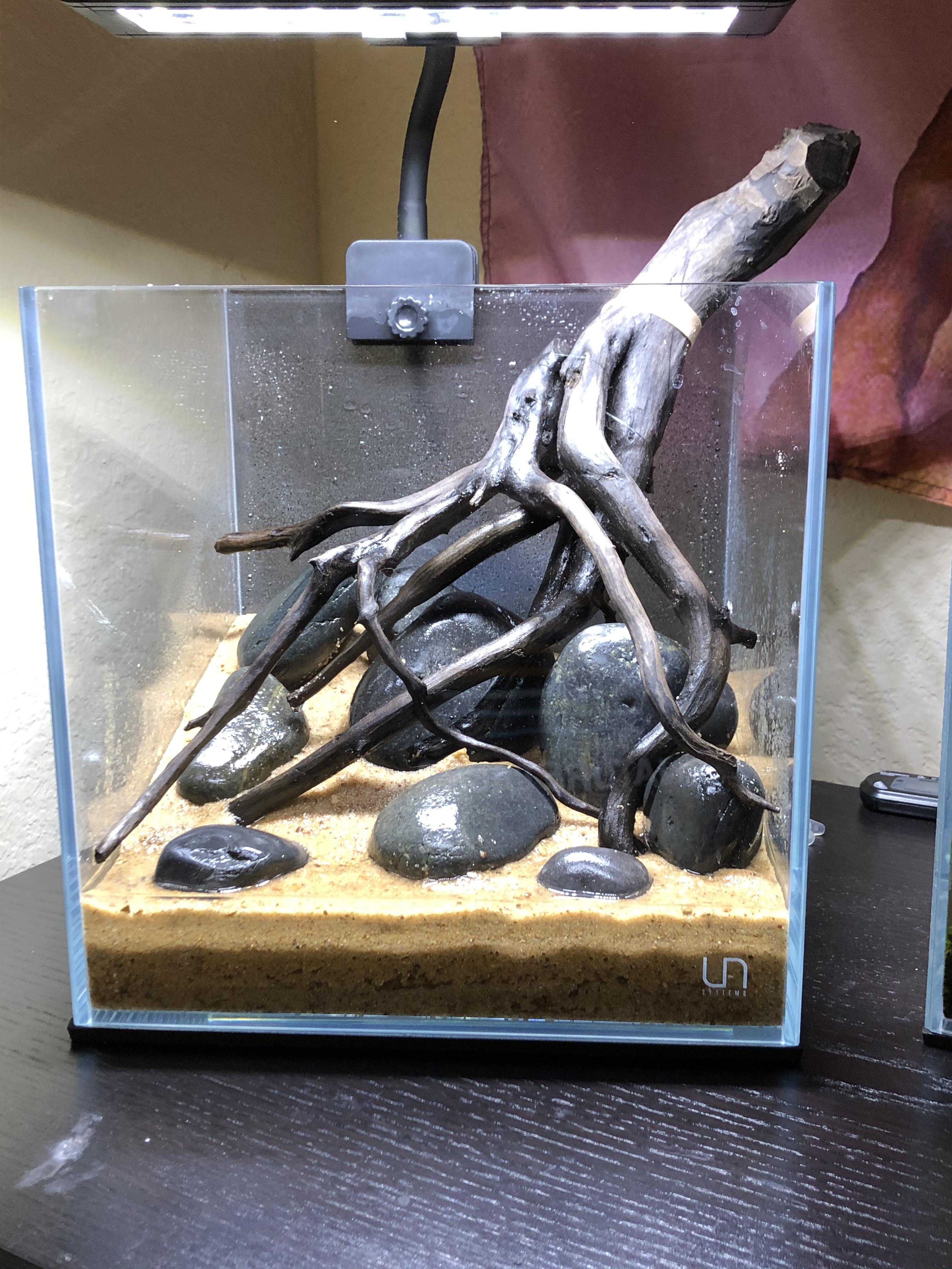 Setting up a black water tank. r/PlantedTank