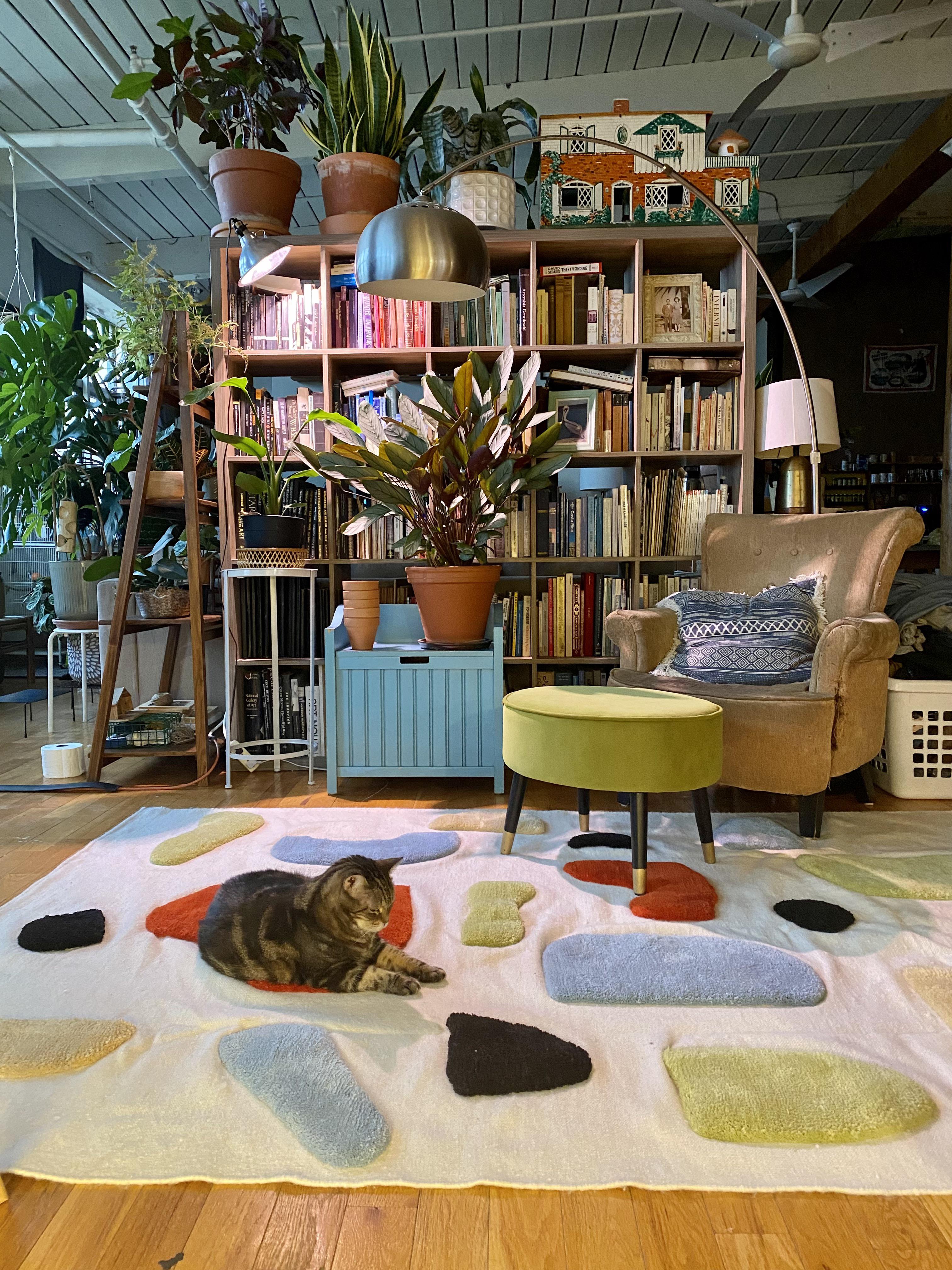 Got a new rug for the “library” r/unexpected_relevance2
