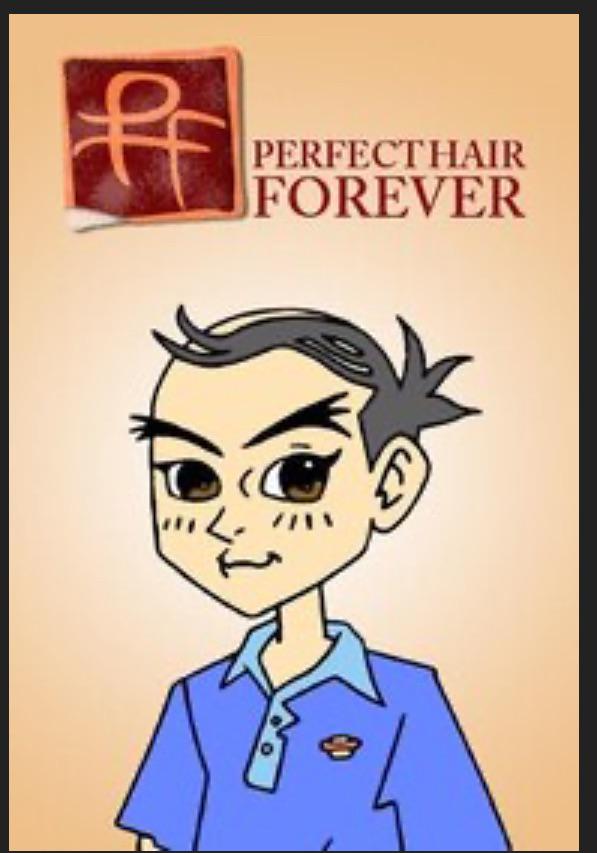 Perfect Hair Forever (2004) : r/ForgottenTV