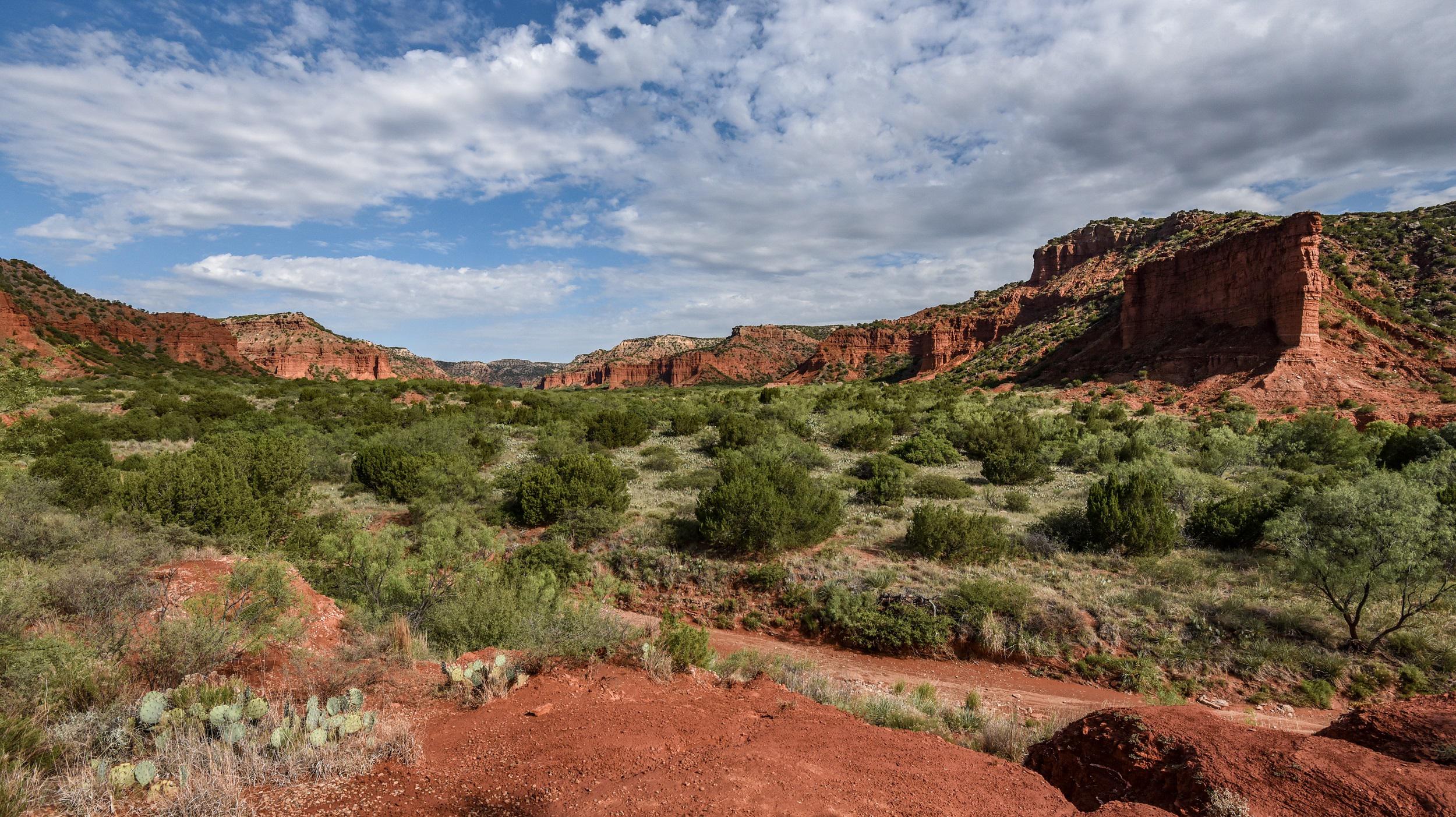 Caprock Canyons State Park, Texas, has some scenic views. Bit warm in