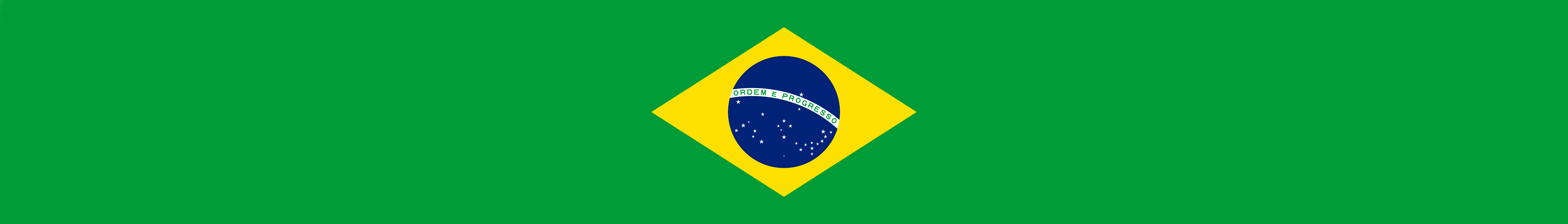 17 ratio Brazil flag r/vexillologycirclejerk