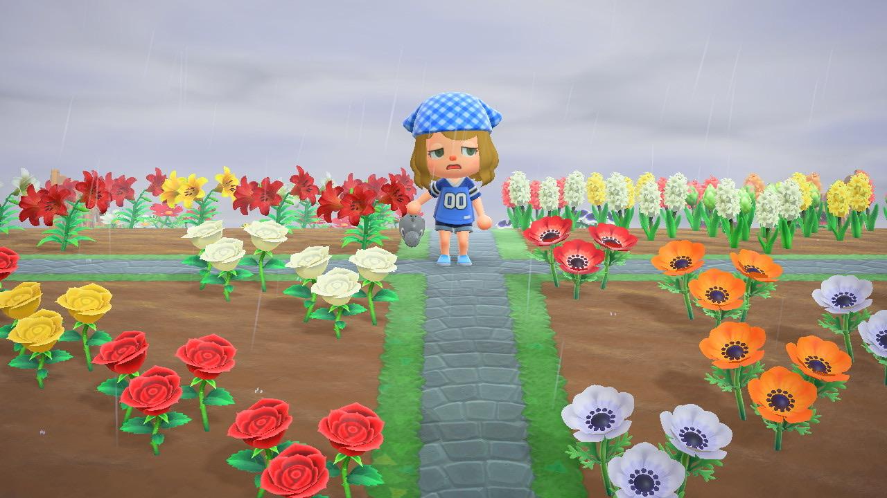 When you just finished watering your flowers and it starts to rain r