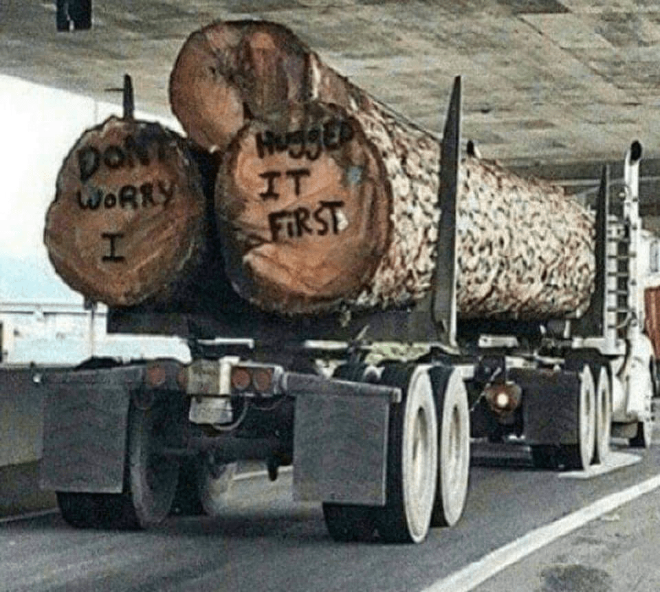 Road rage intensifies r/funny