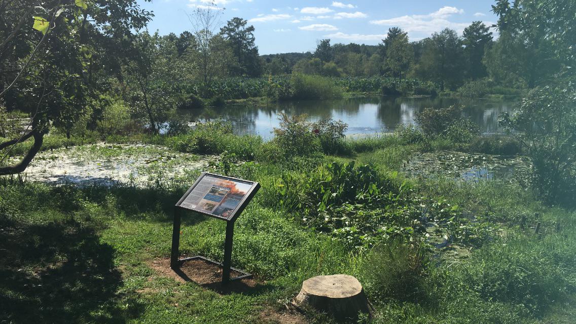 Kenilworth Park and Aquatic Gardens, NE. Go when you have the time. r