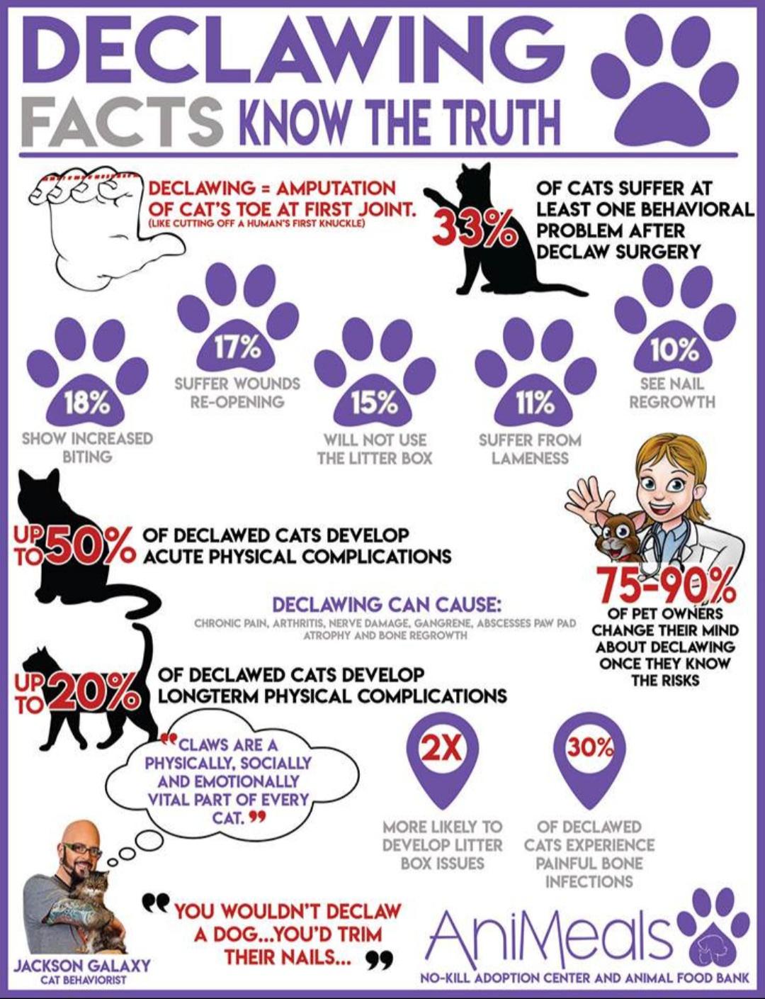 Please don't declaw; important info for current and future cat owners