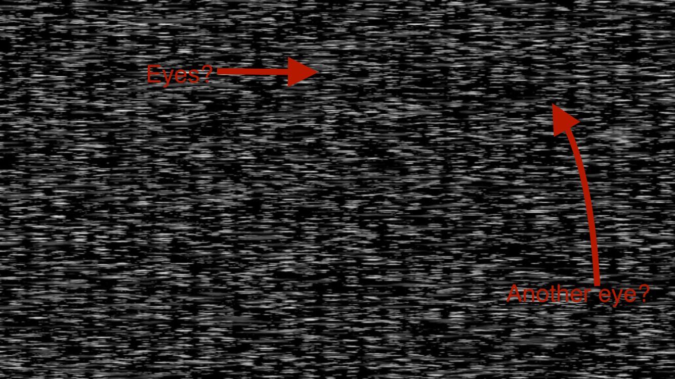 Call me crazy but is there something in the FNaF 1 death static? r