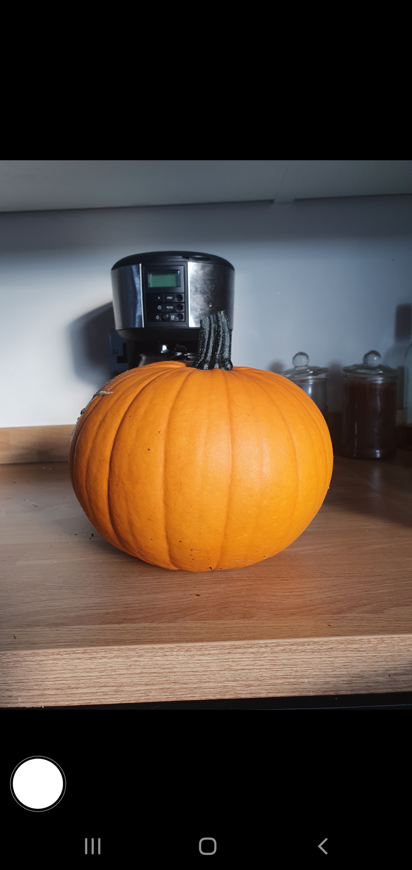 I've lived in flats with no outdoor space my whole life. Finally bought