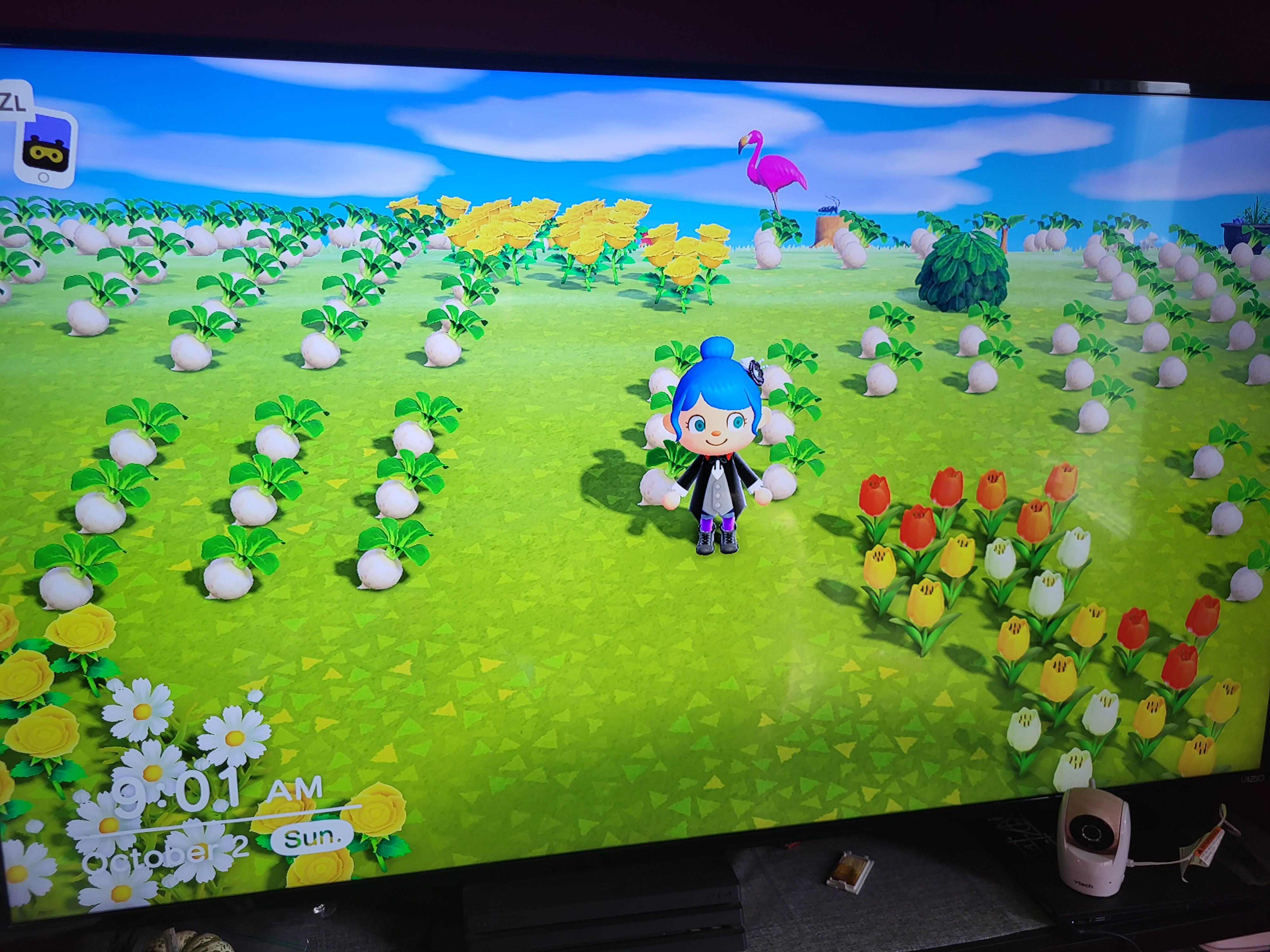 I'm fairly new to Animal Crossing. I want a bit overboard on buying my