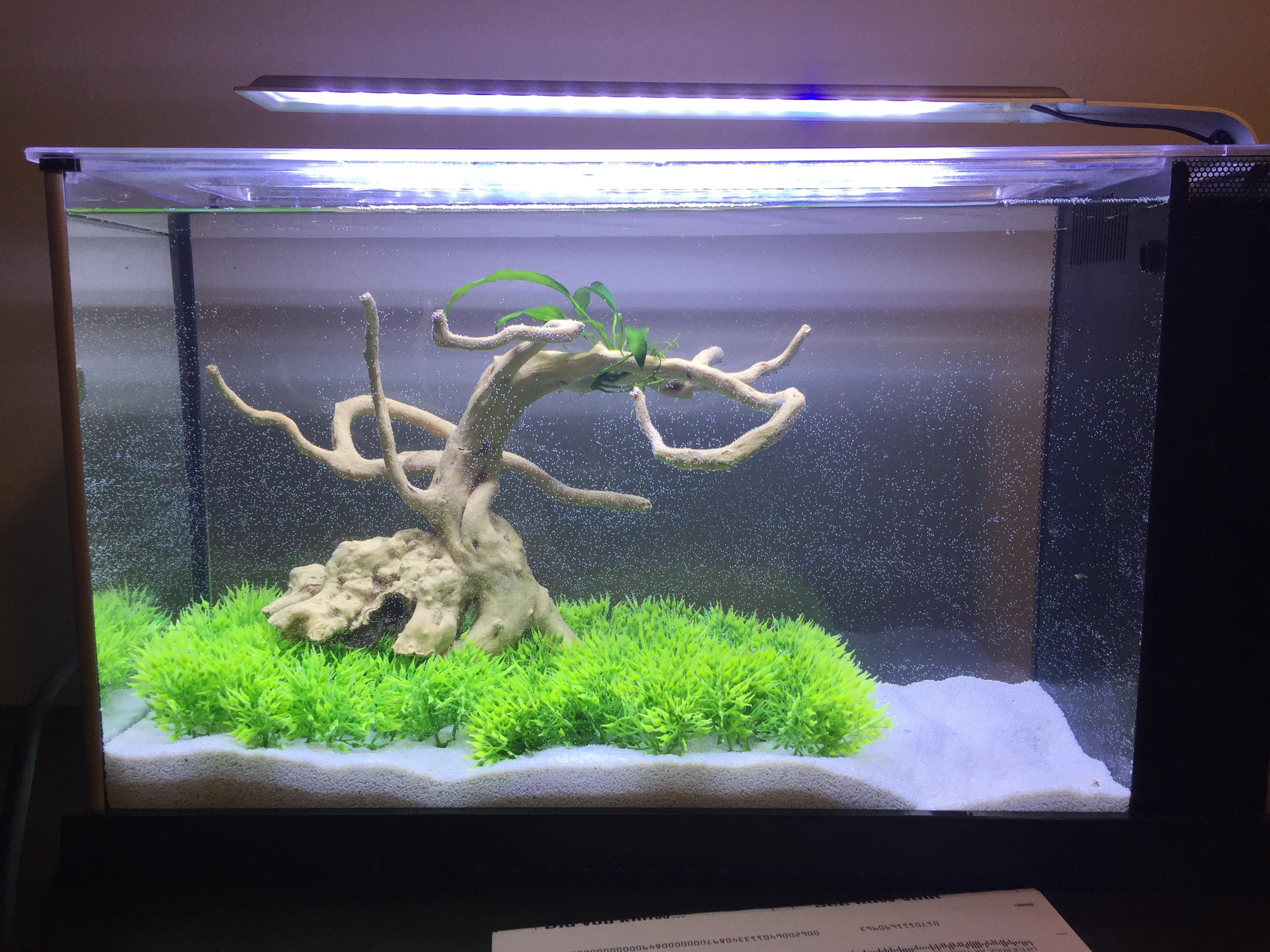 New cycling desk aquarium! r/Aquariums