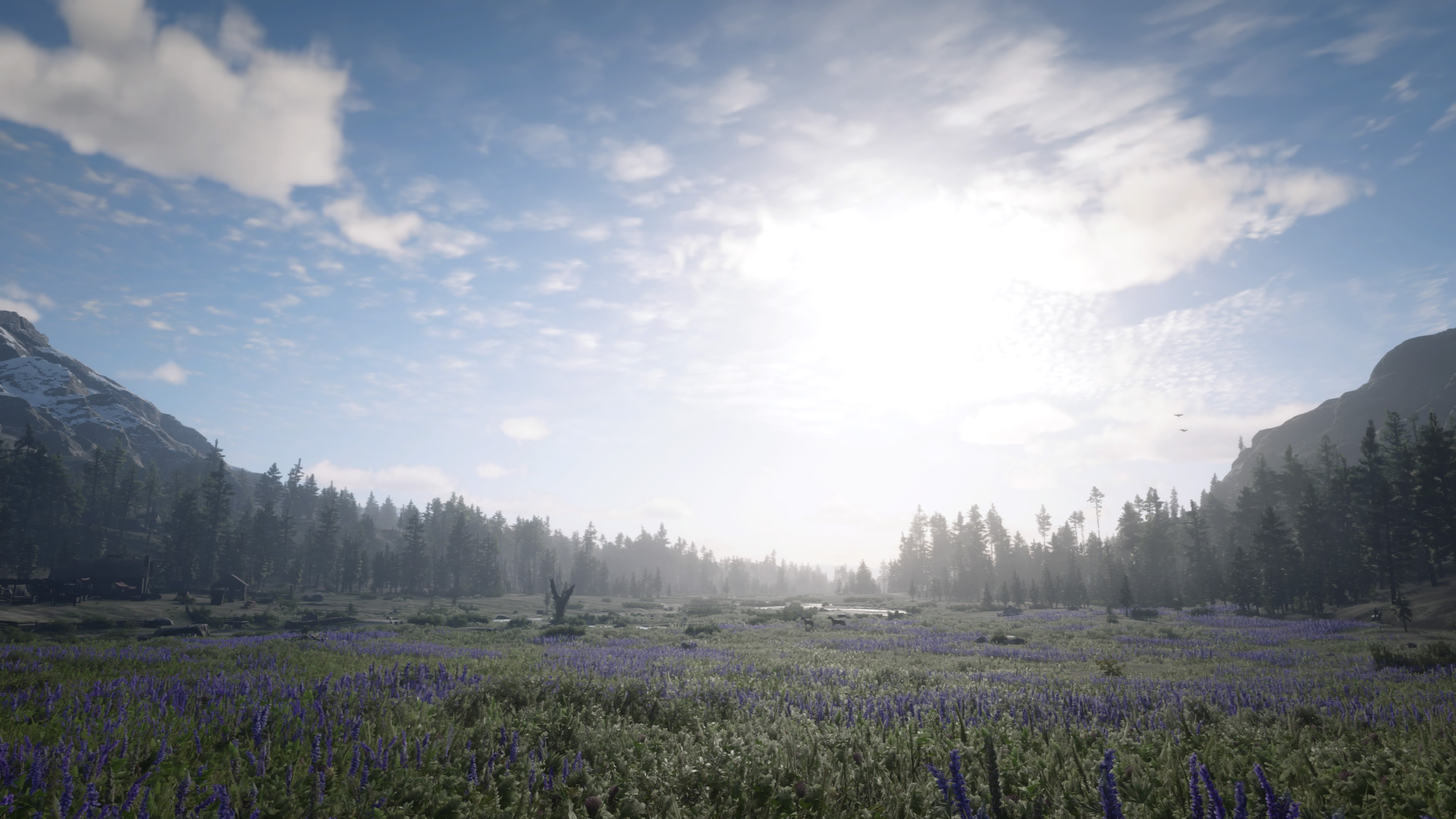 Beautiful Big Valley r/reddeadredemption