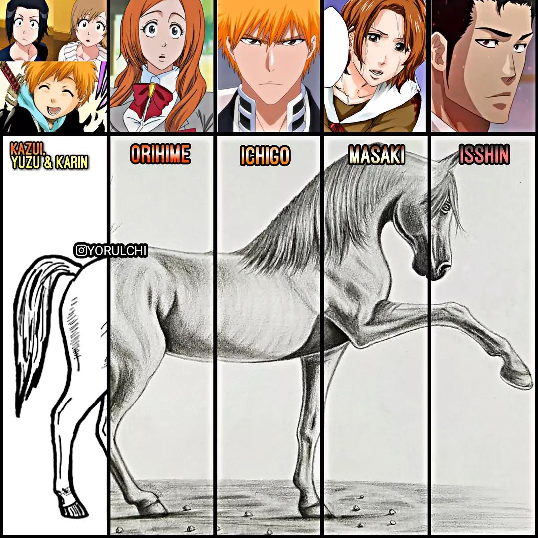 I made the perfect horse meme. Do you agree with my rating? r/bleach