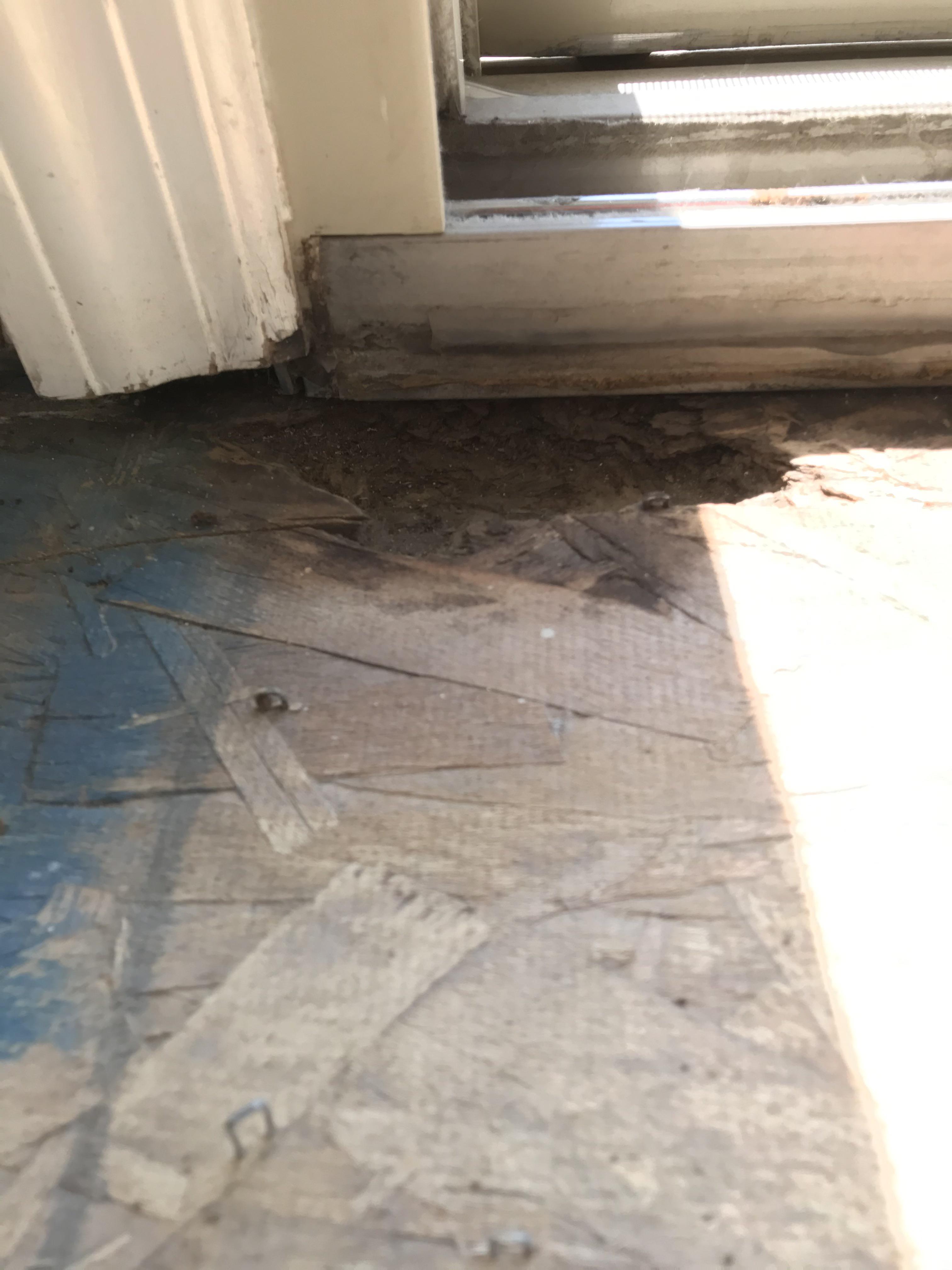 Repair or replace this small section of subfloor? Can I fill it with