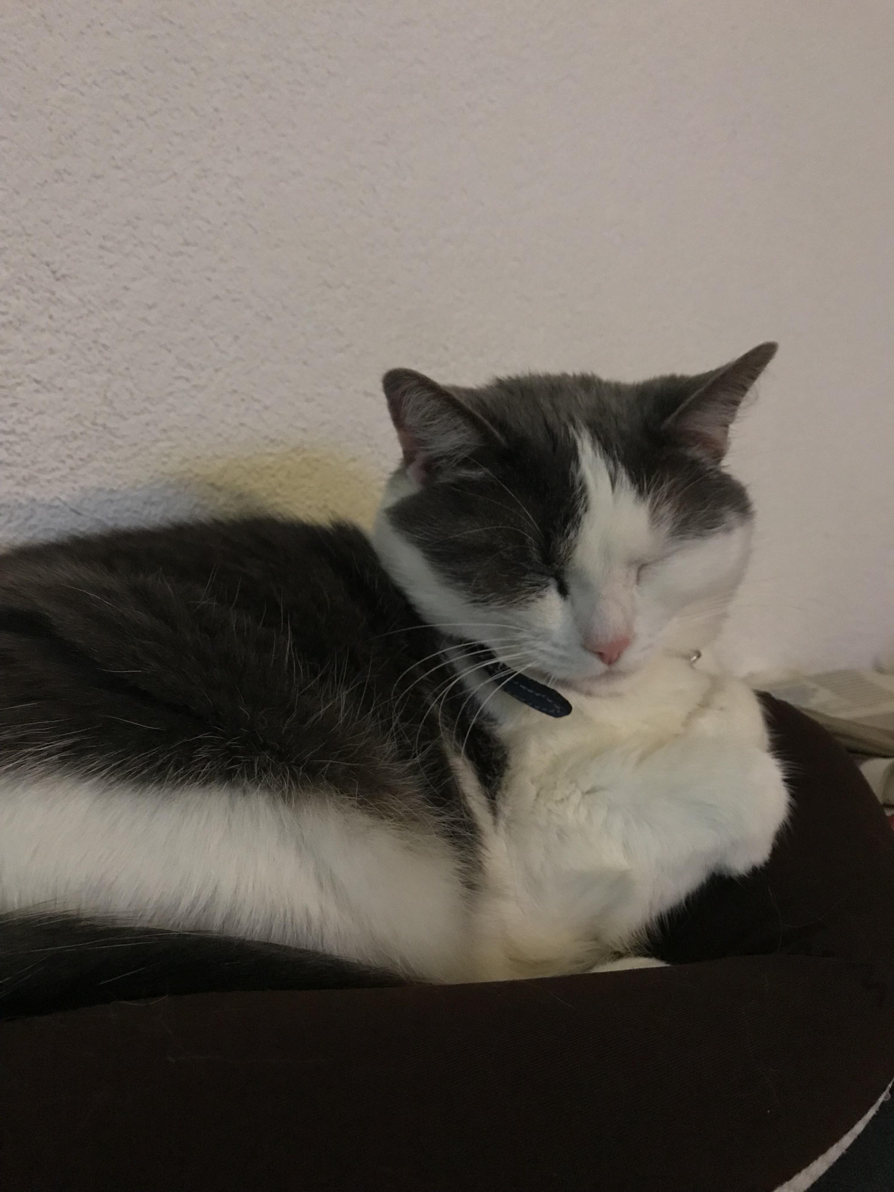 I bought a special neck pillow for myself. Its officially not mine