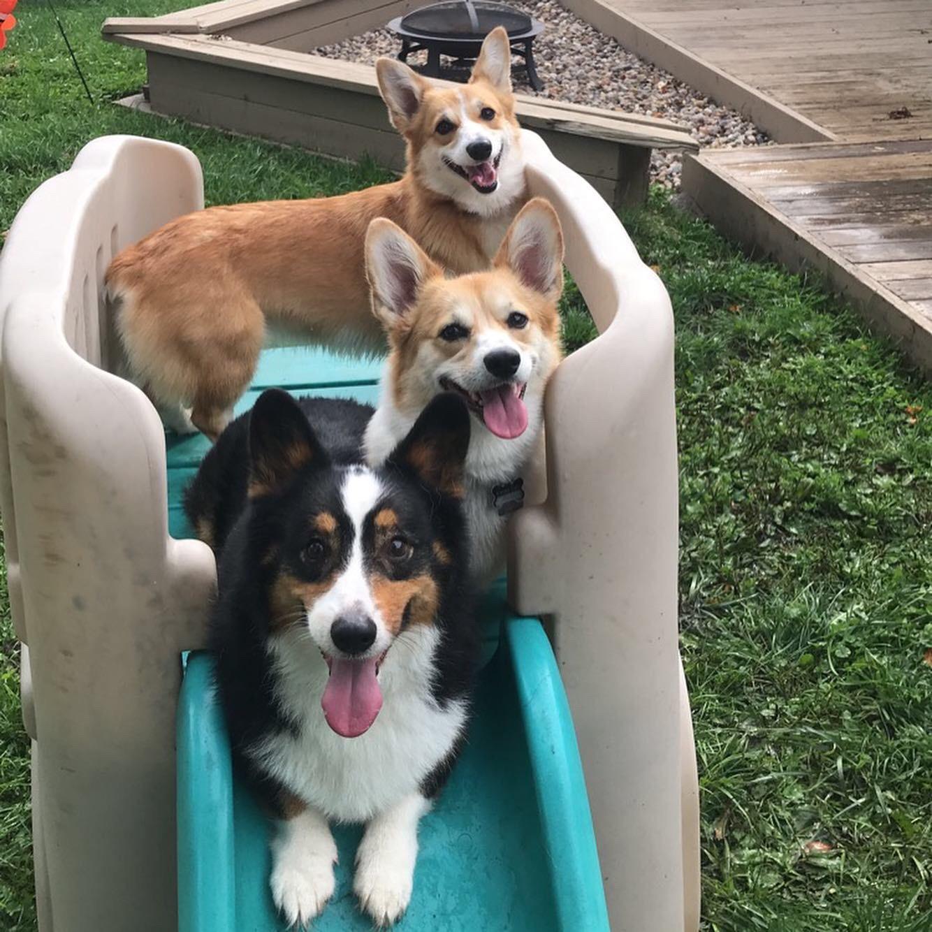 Our three enjoying their new play set