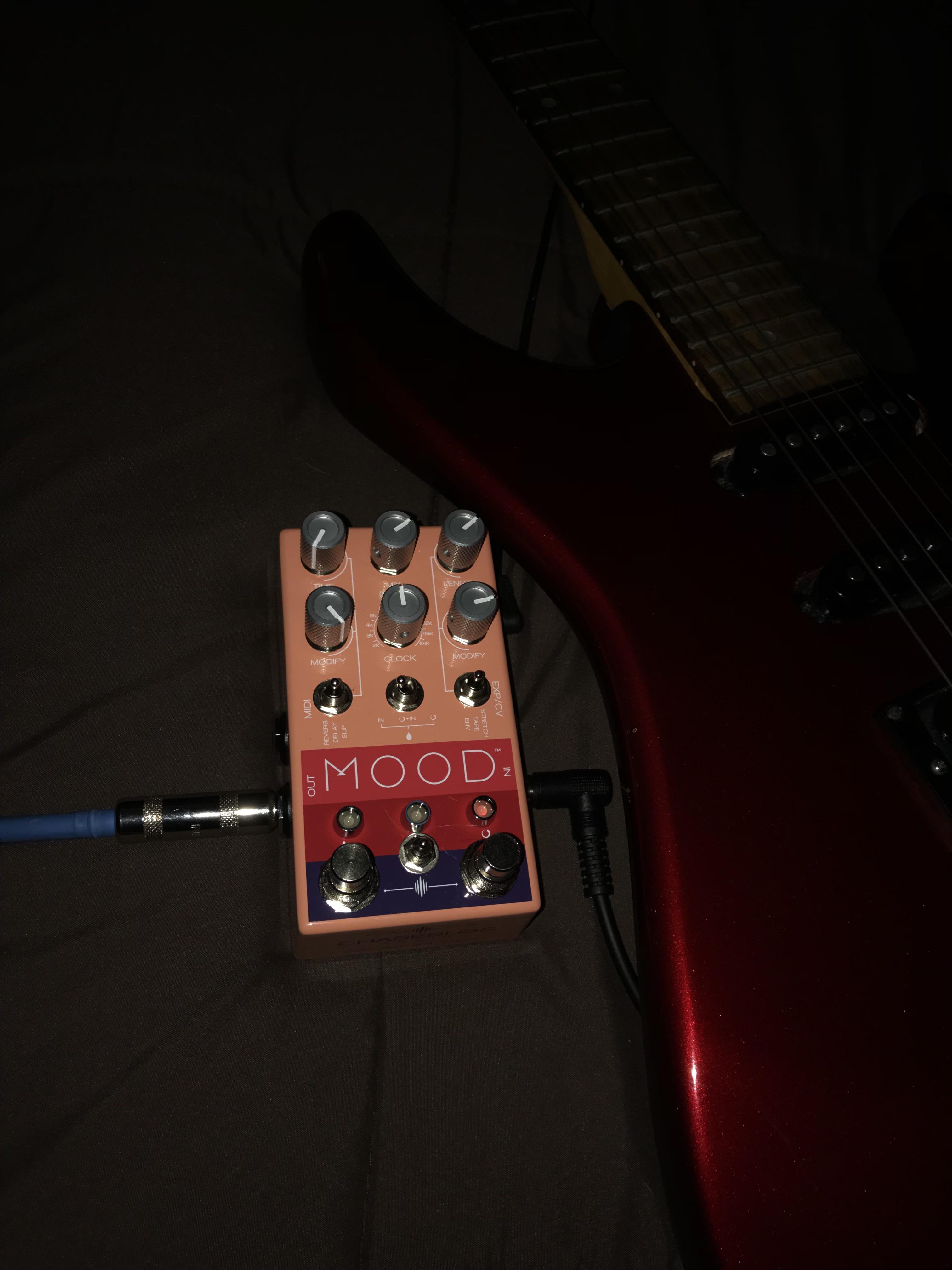 This pedal is a dream for making ambient music r/guitarpedals