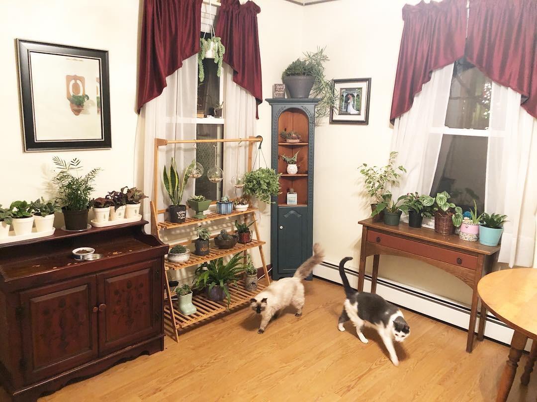 My little slice of heaven 🌱 plants