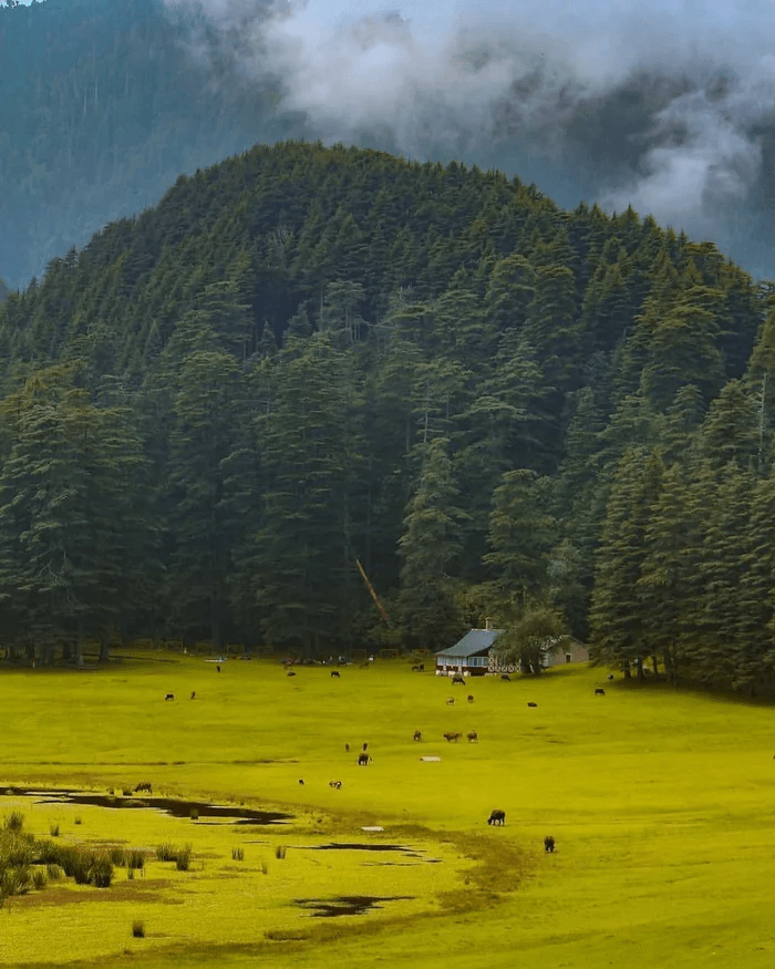 Mini Switzerland of India, Dalhousie, Himachal Pradesh r/pics