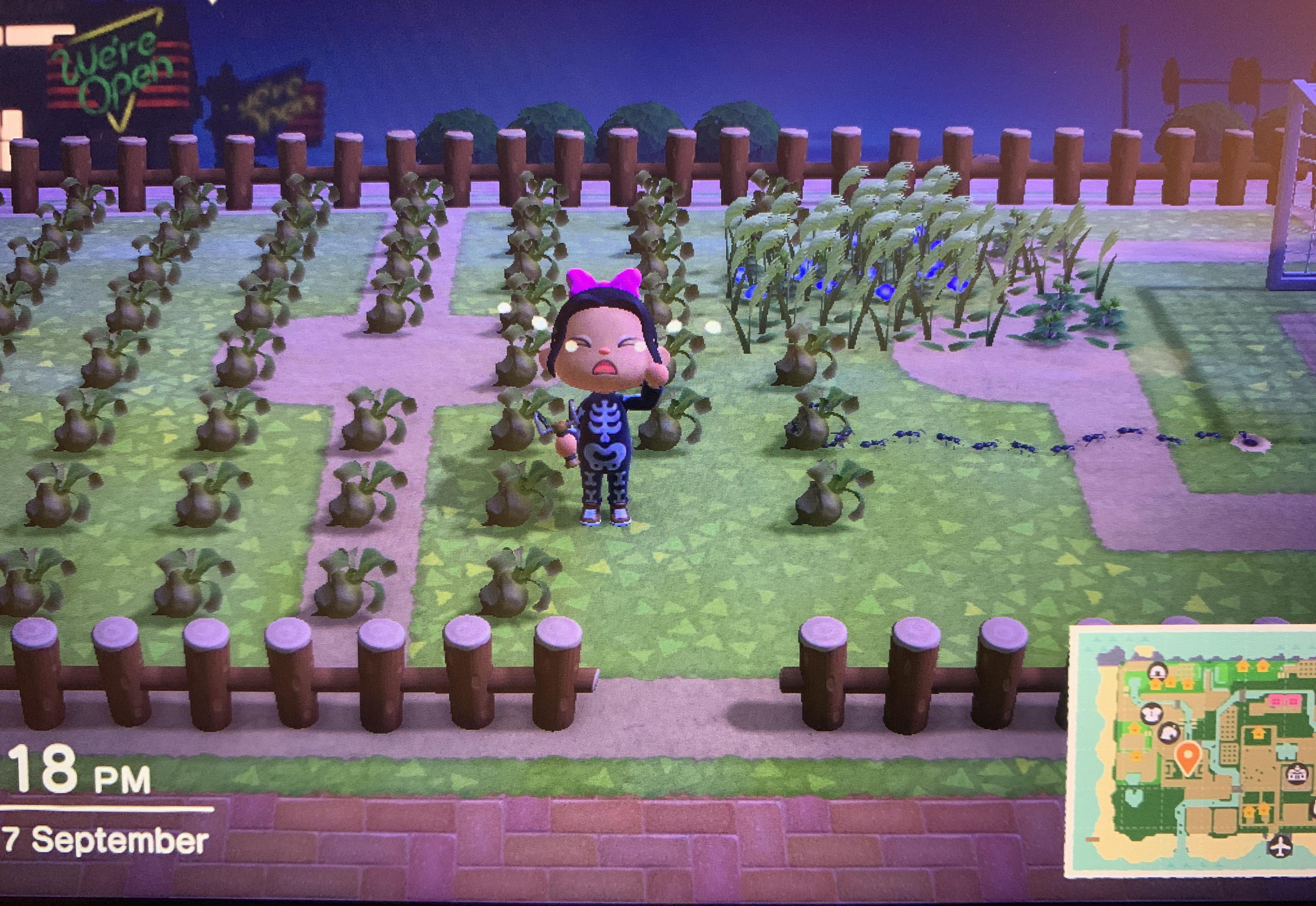 Rotten turnips if anyone wants them for free!!! 😂 r/AnimalCrossing