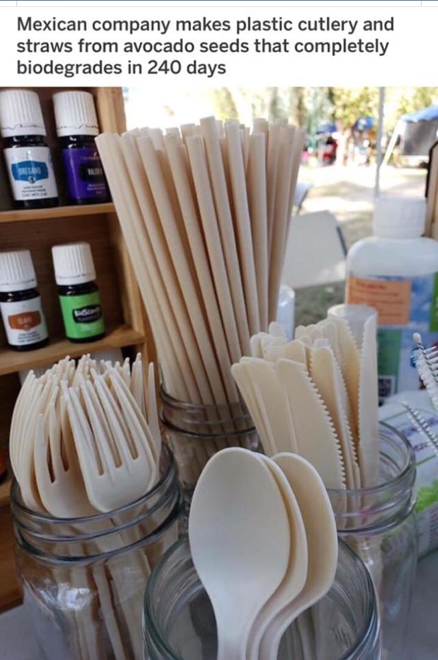 Biodegradable Avocado seed plastic ware r/INEEEEDIT