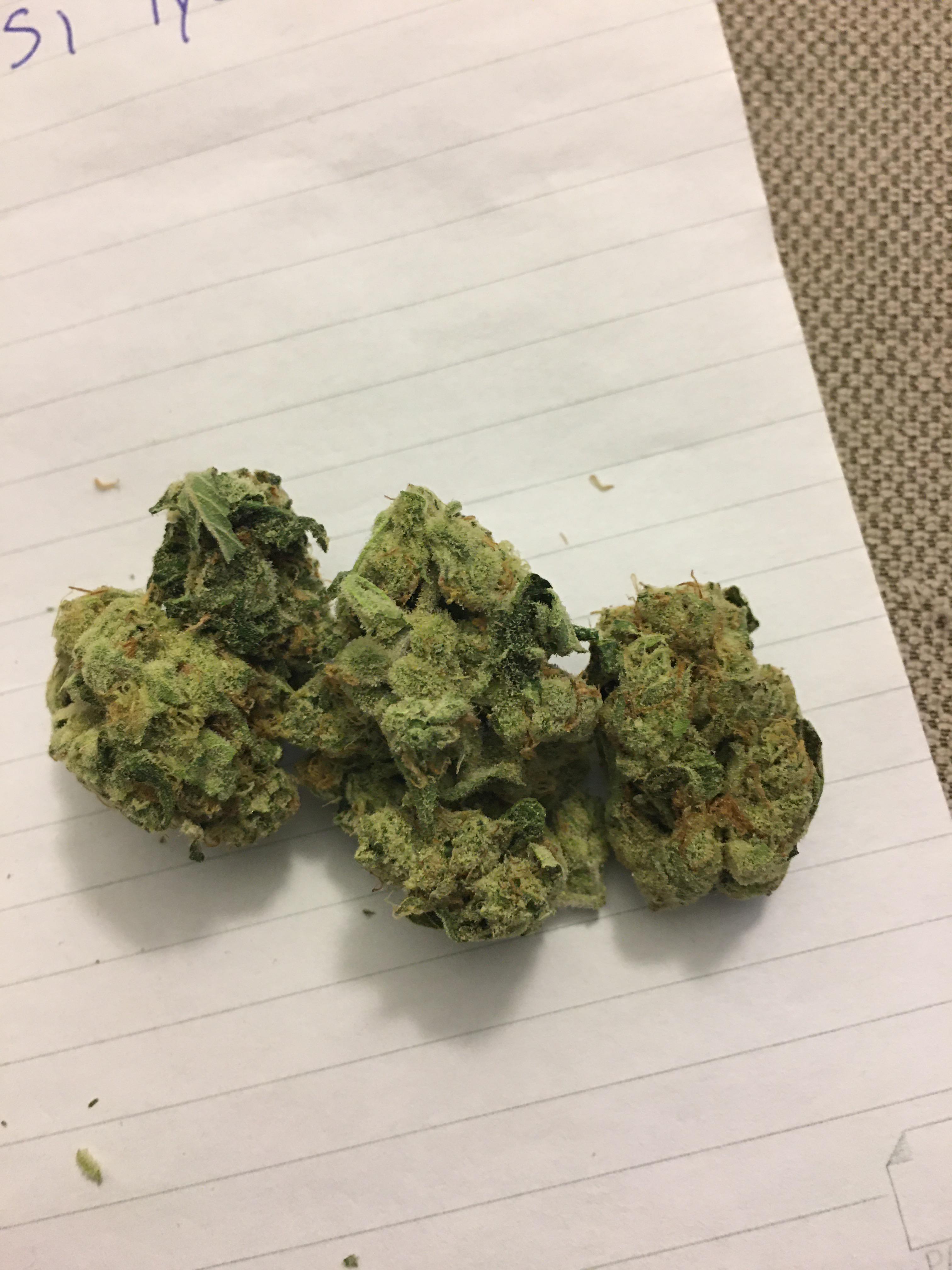 Zombie Kush Kush Station November 2019 r/MOMpics