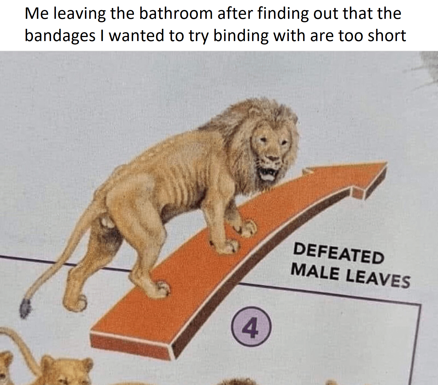 I know it's not safe to bind with bandages, I was only going to try for