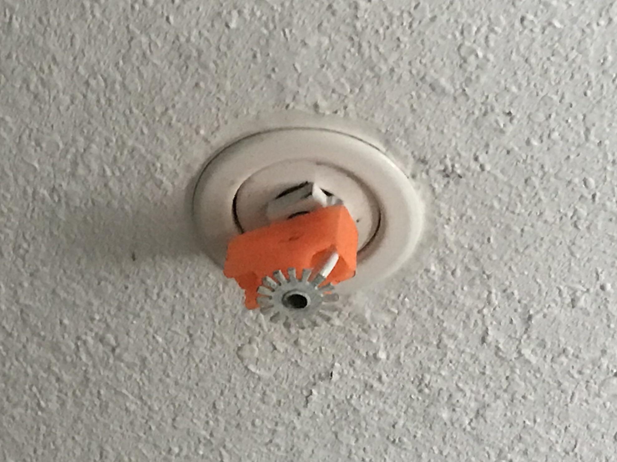 Fire Sprinkler Cap