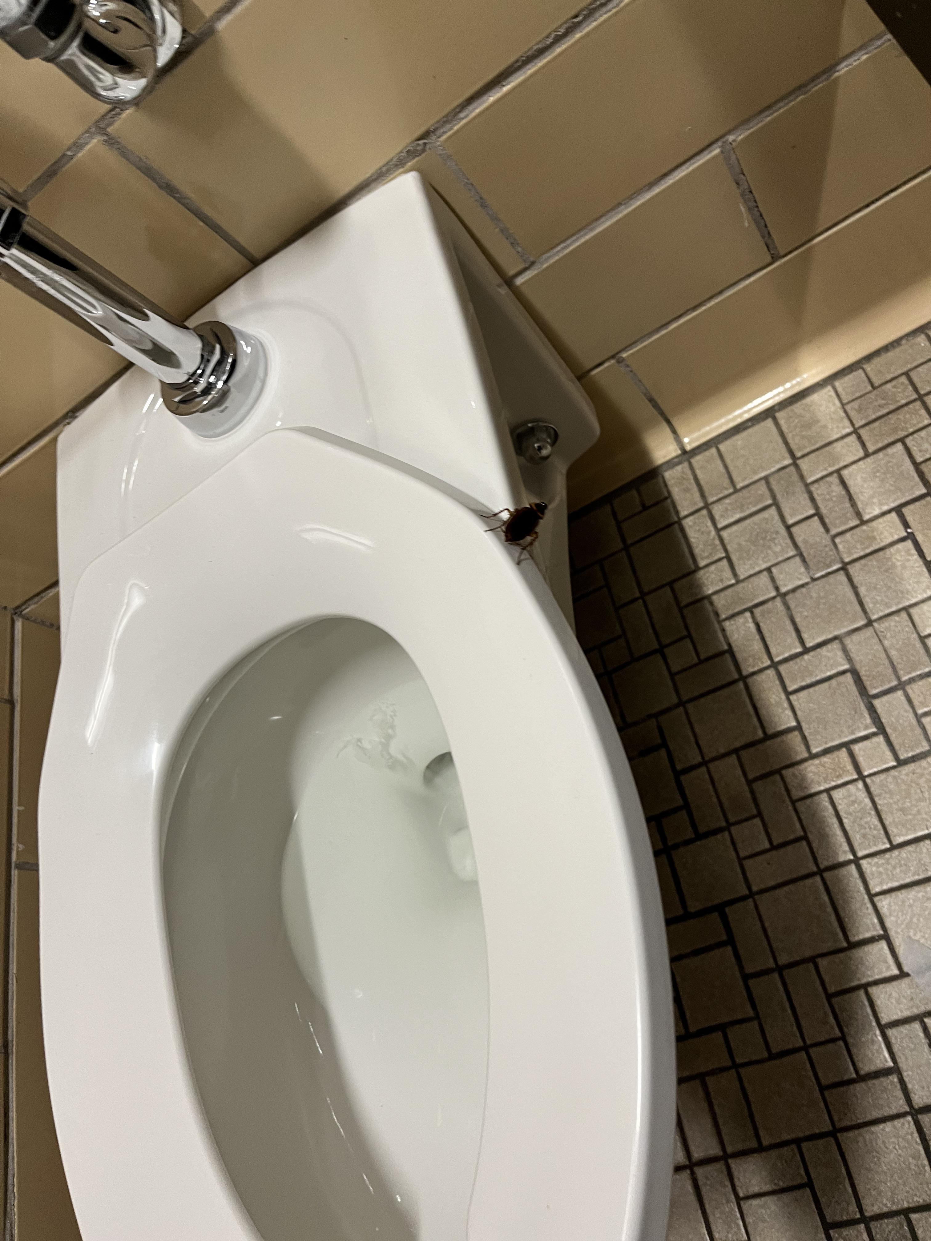 well at least the cockroach got a place to live... in morrill r/umass