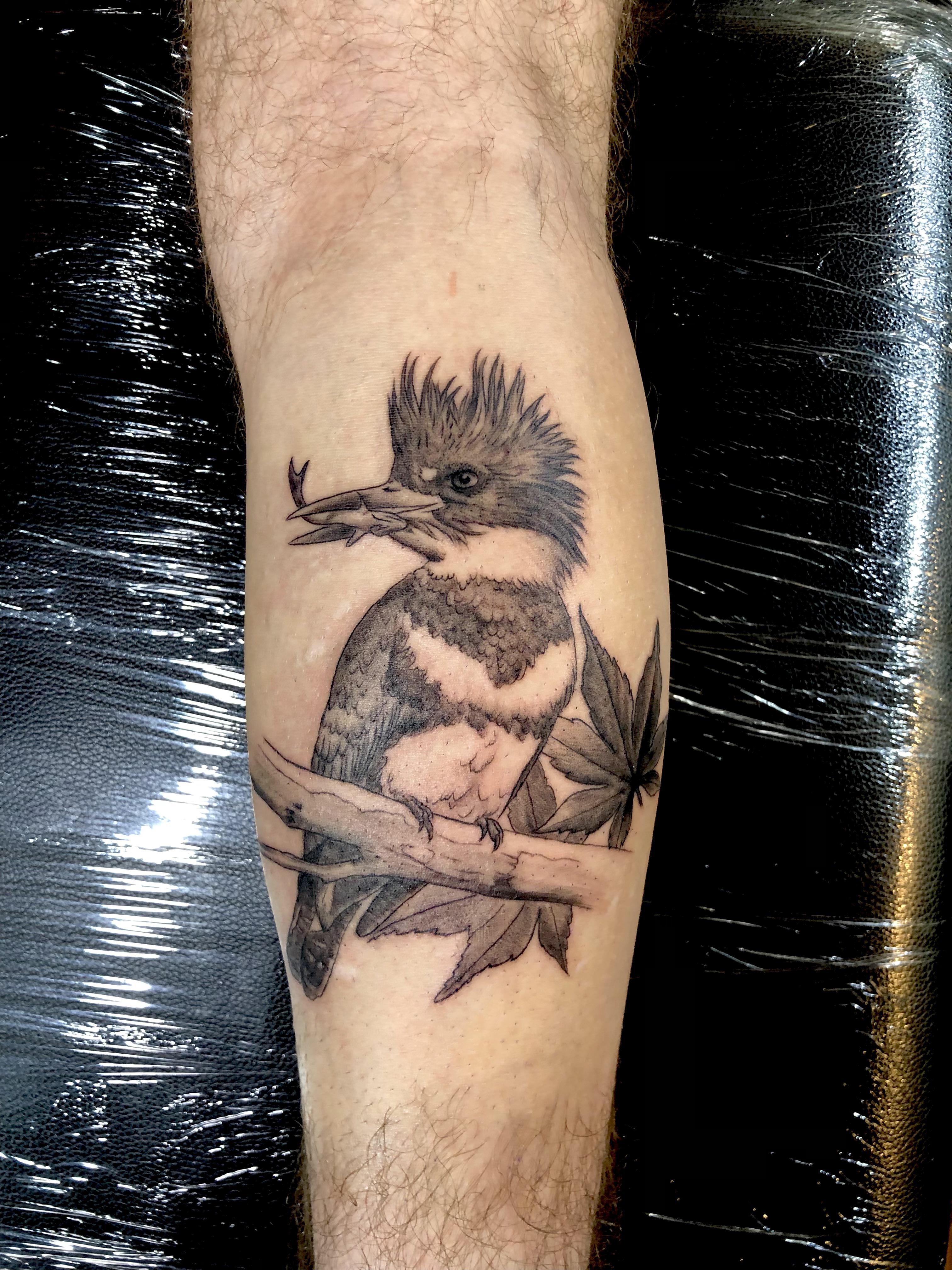 King fisher (1st of 2 sessions) done by Rich Bradley Orichinal Arts