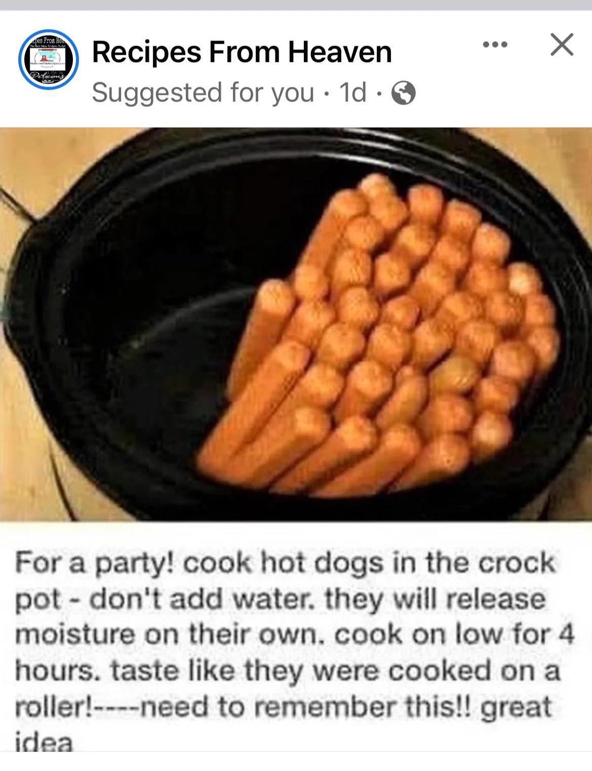 Do Dogs Prefer Warm Food