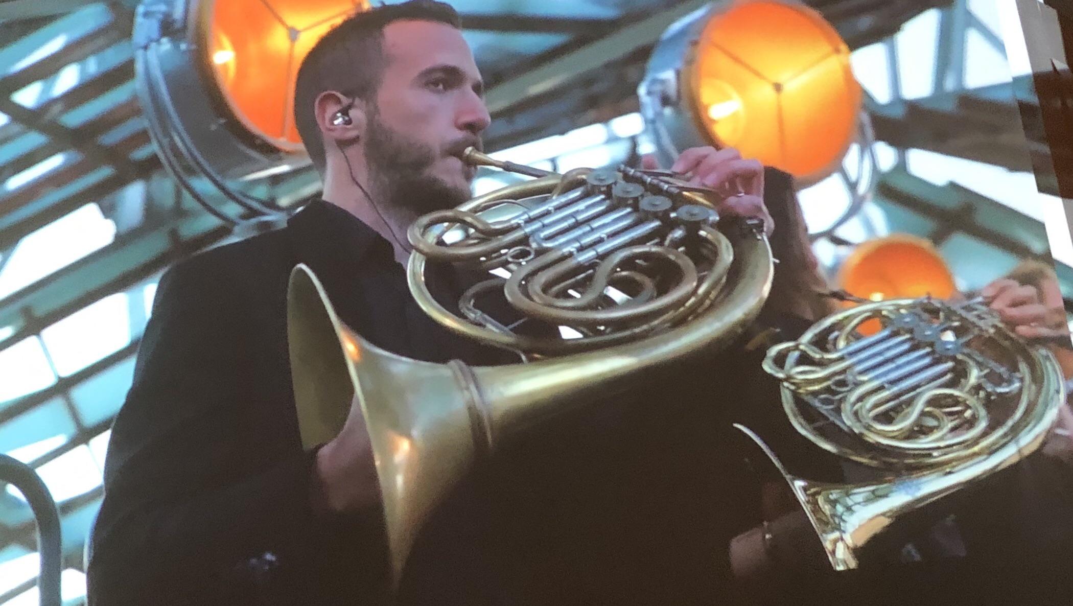 Why do people put a hand in a french horn? And does it influence the