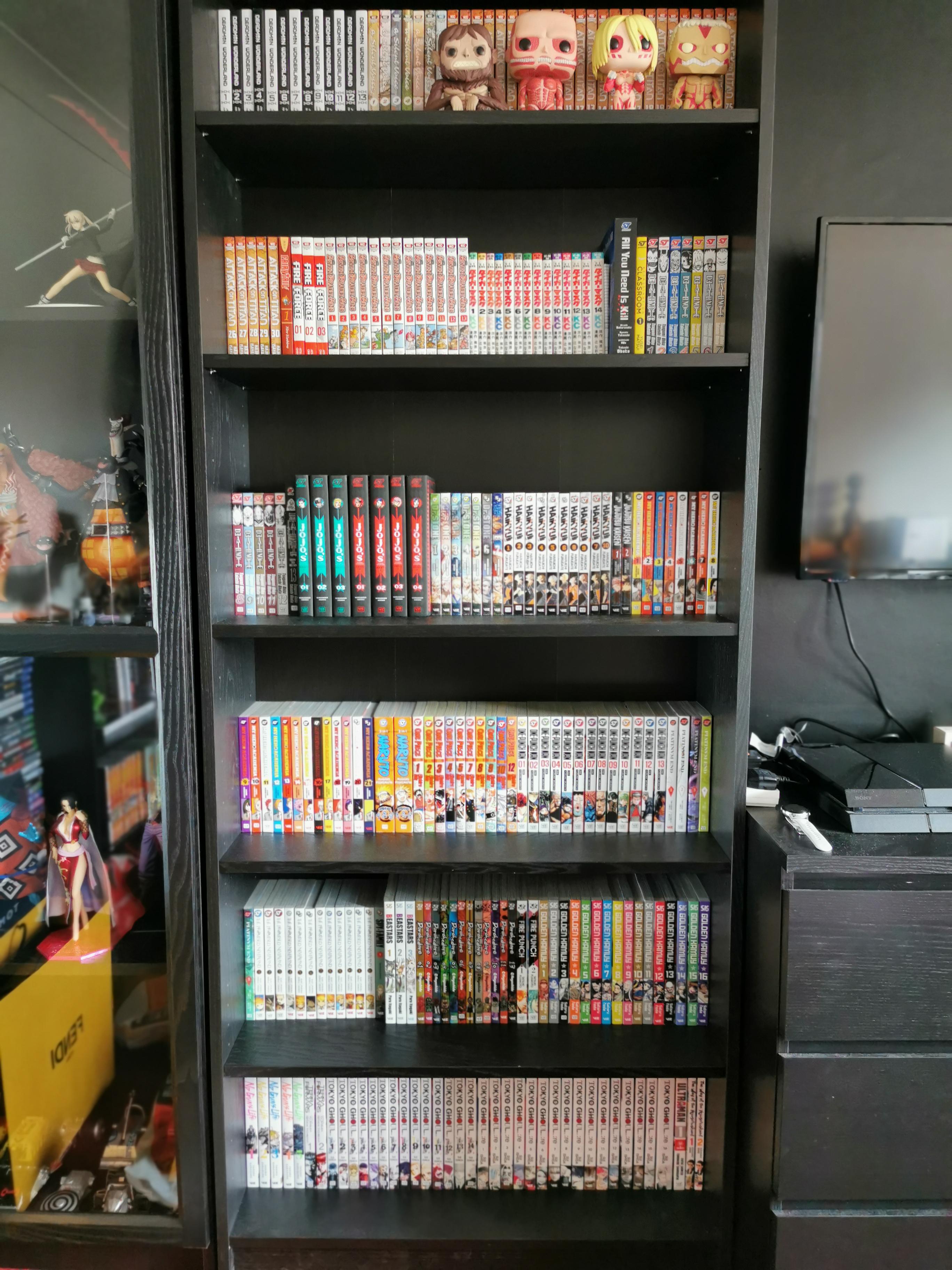 My updated collection/layout, 2 dedicated bookcases that'll be just for