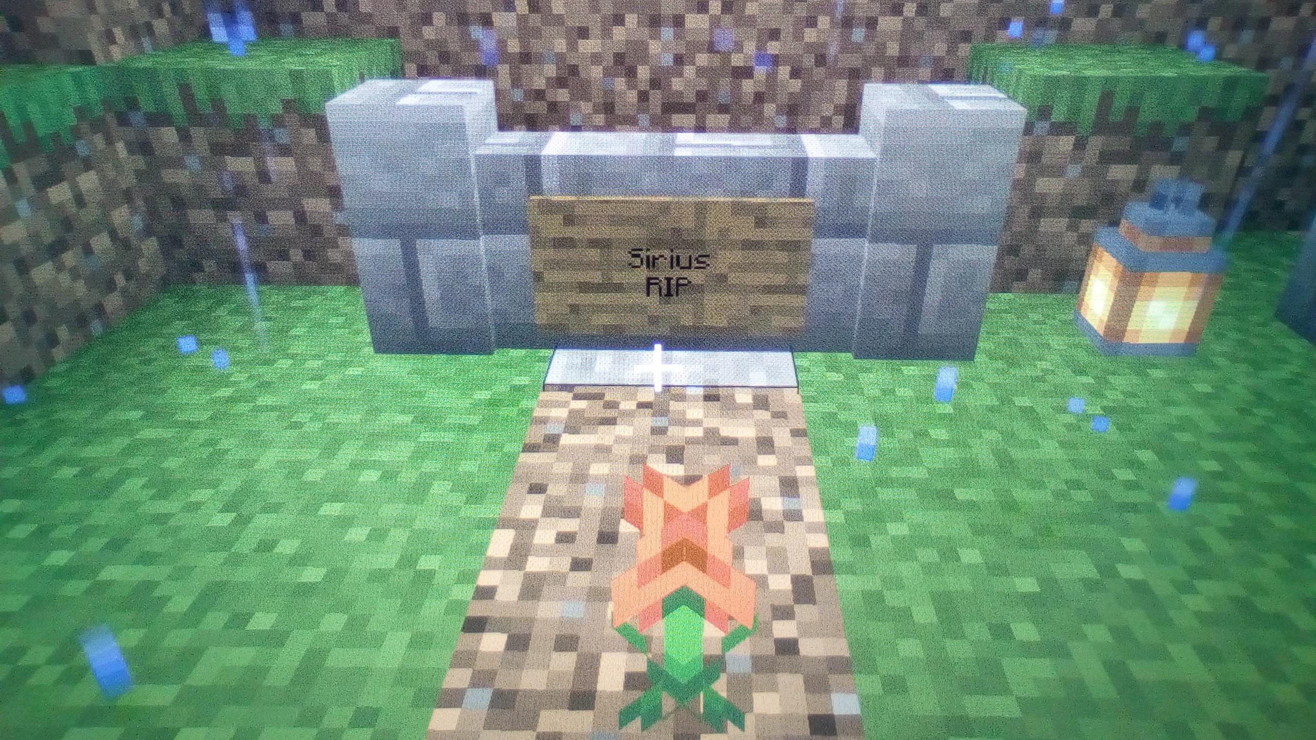My Minecraft dog died, RIP Sirius. r/teenagers