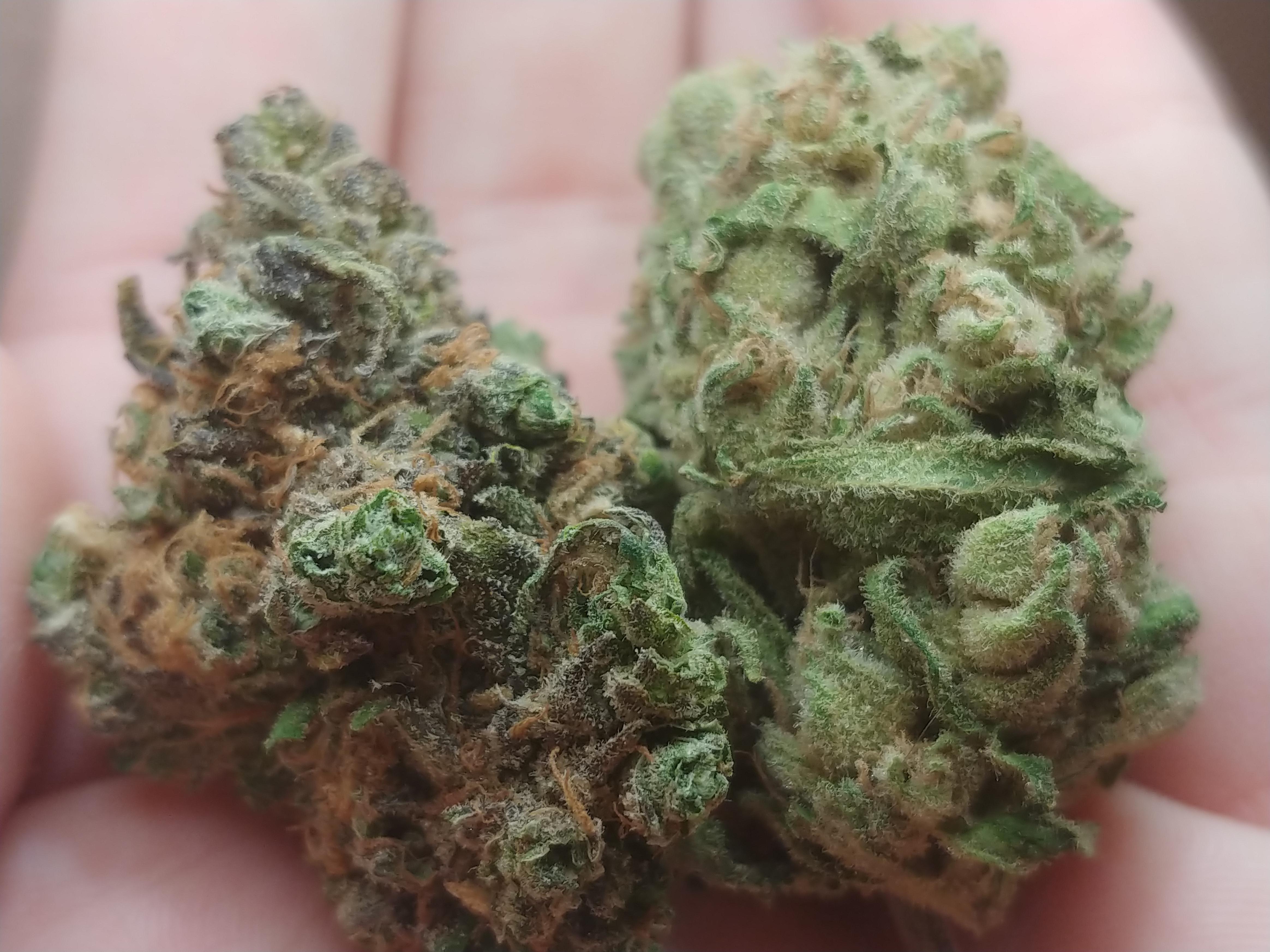 Curaleaf blue dream on the left, liberty health sciences blue dream on