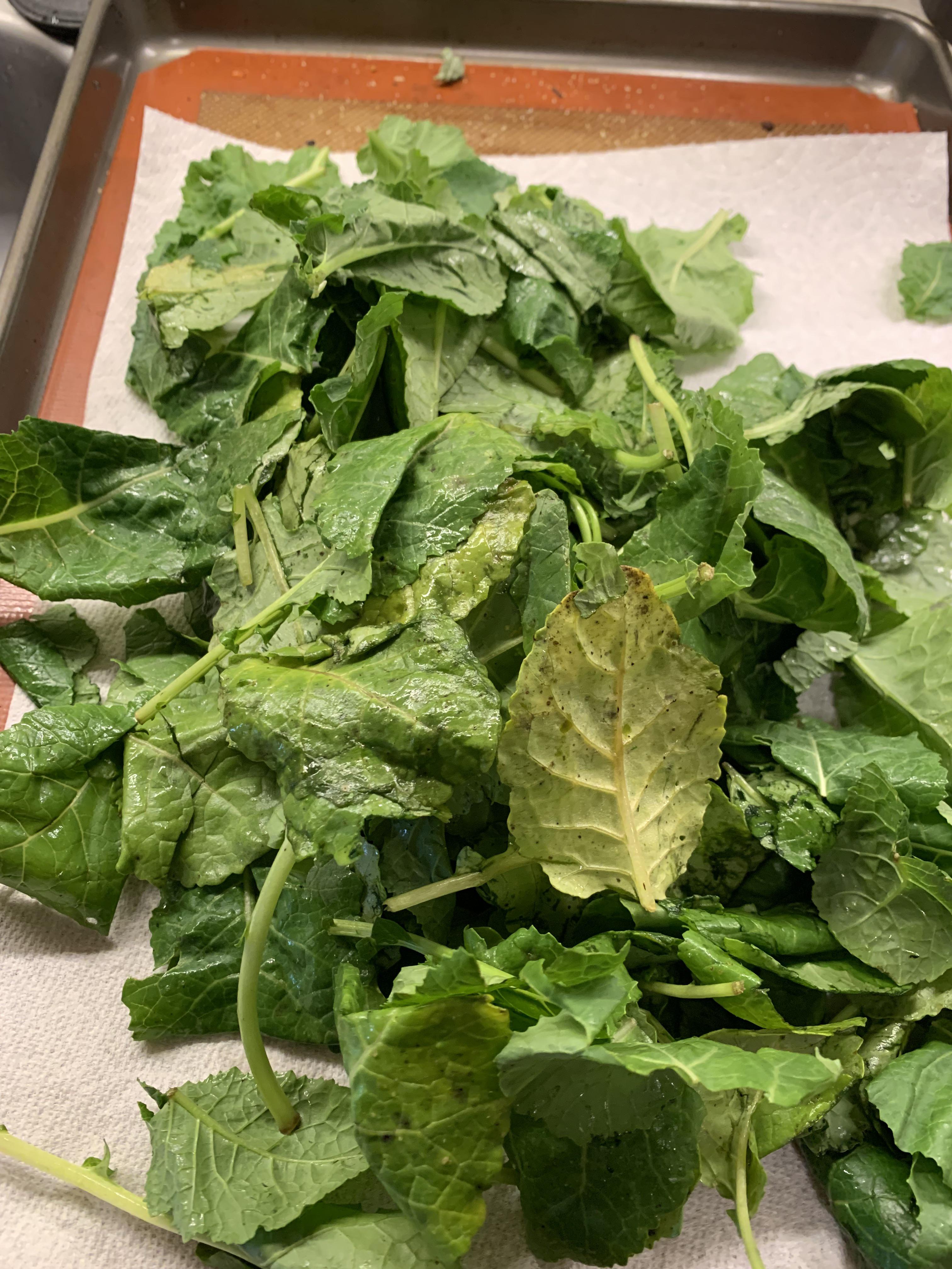 Organic baby kale quality r/traderjoes