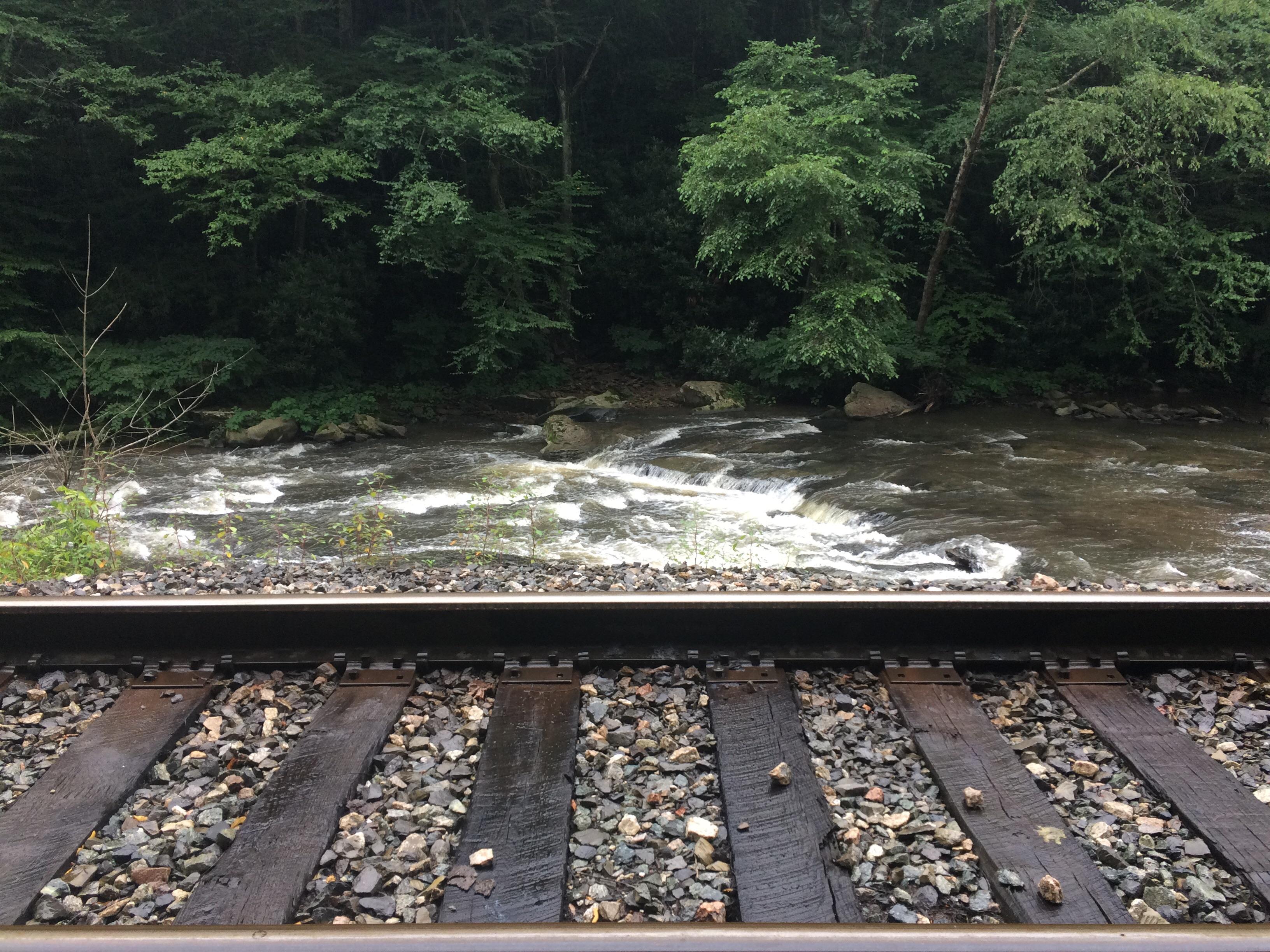 I got this photo when hiking down Piney Creek. r/WestVirginia