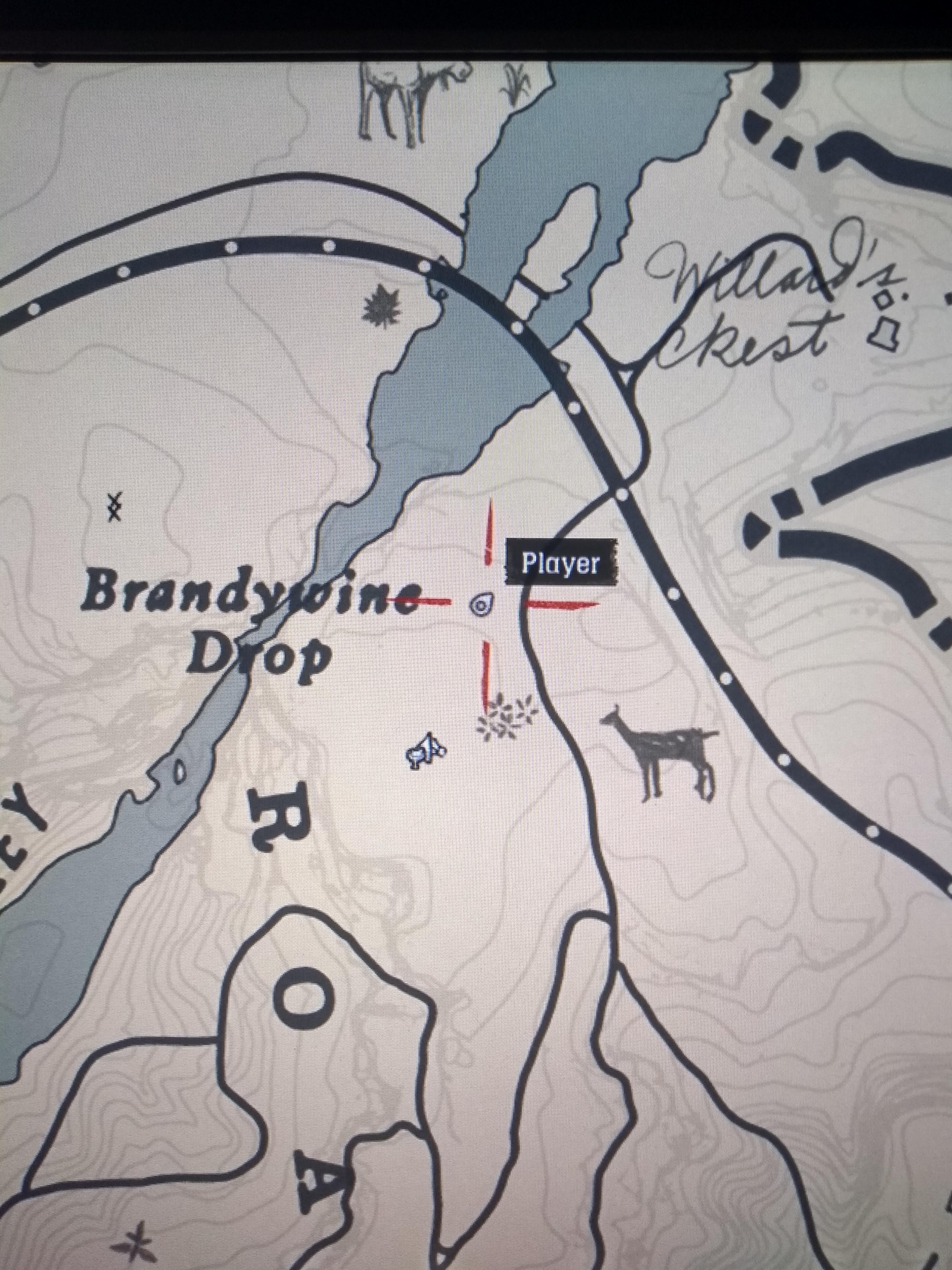 Excuse the shit photo but after hours of searching for the wintergreen