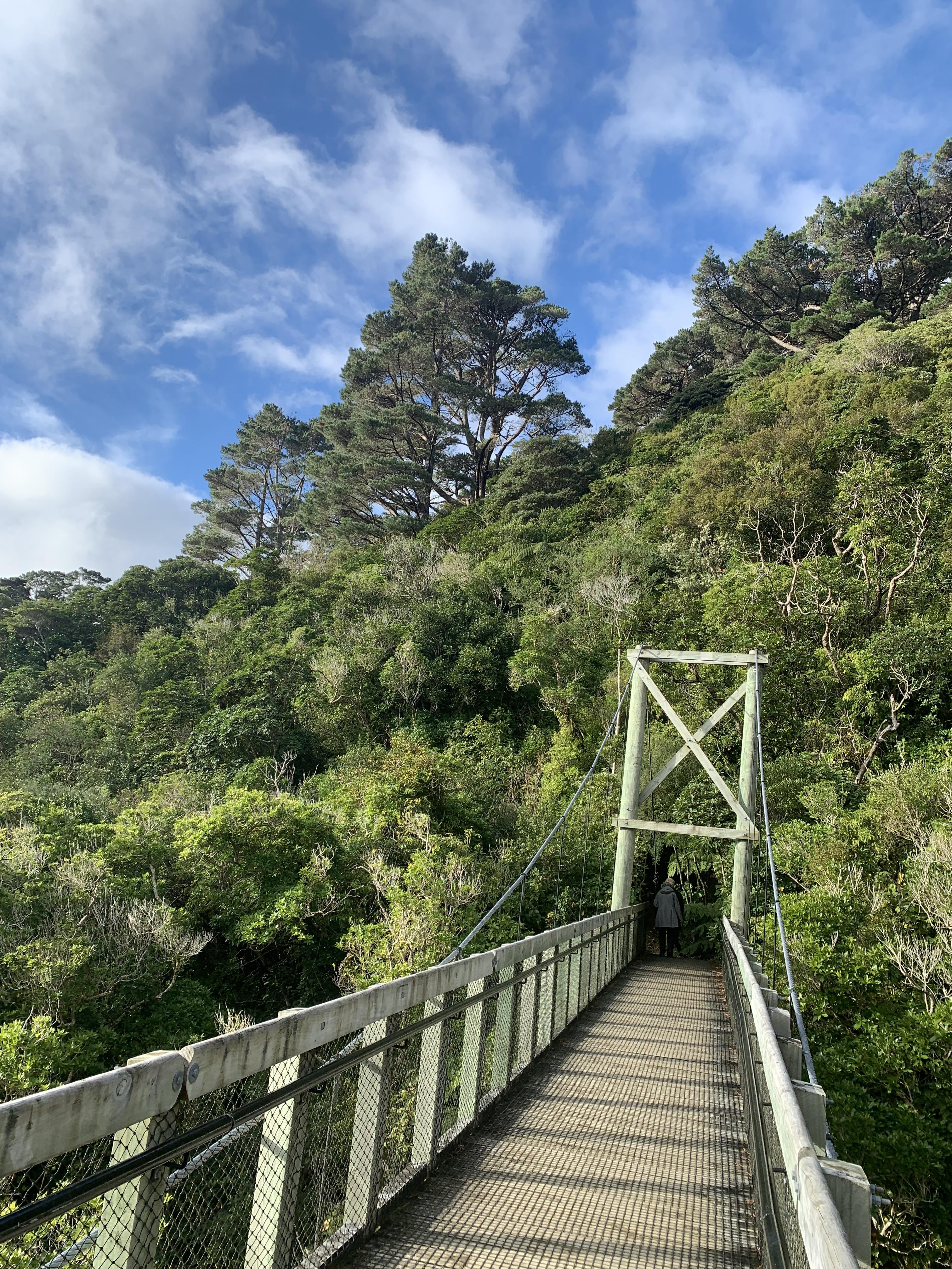 Zealandia is the perfect way to escape from the city and it’s free