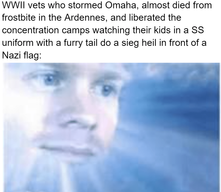 I stormed Normandy for *this*? r/HistoryMemes