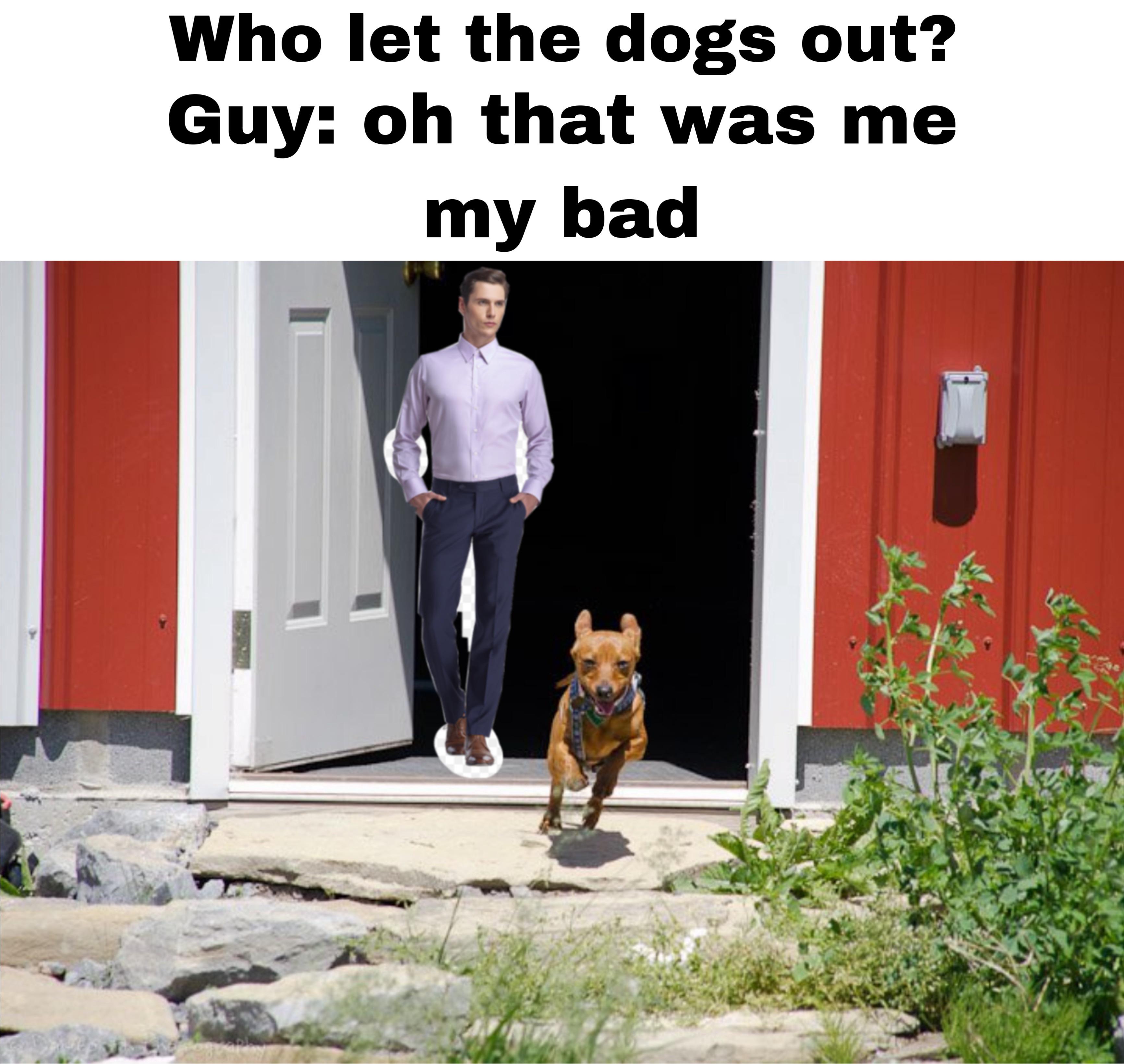 Who let the dogs out? r/antimeme