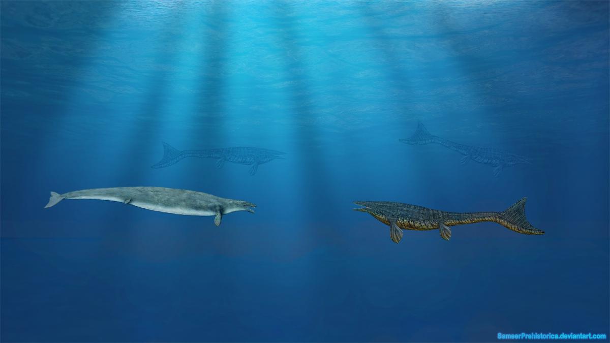 Staredown between a Basilosaurus and a Mosasaurus. Art by