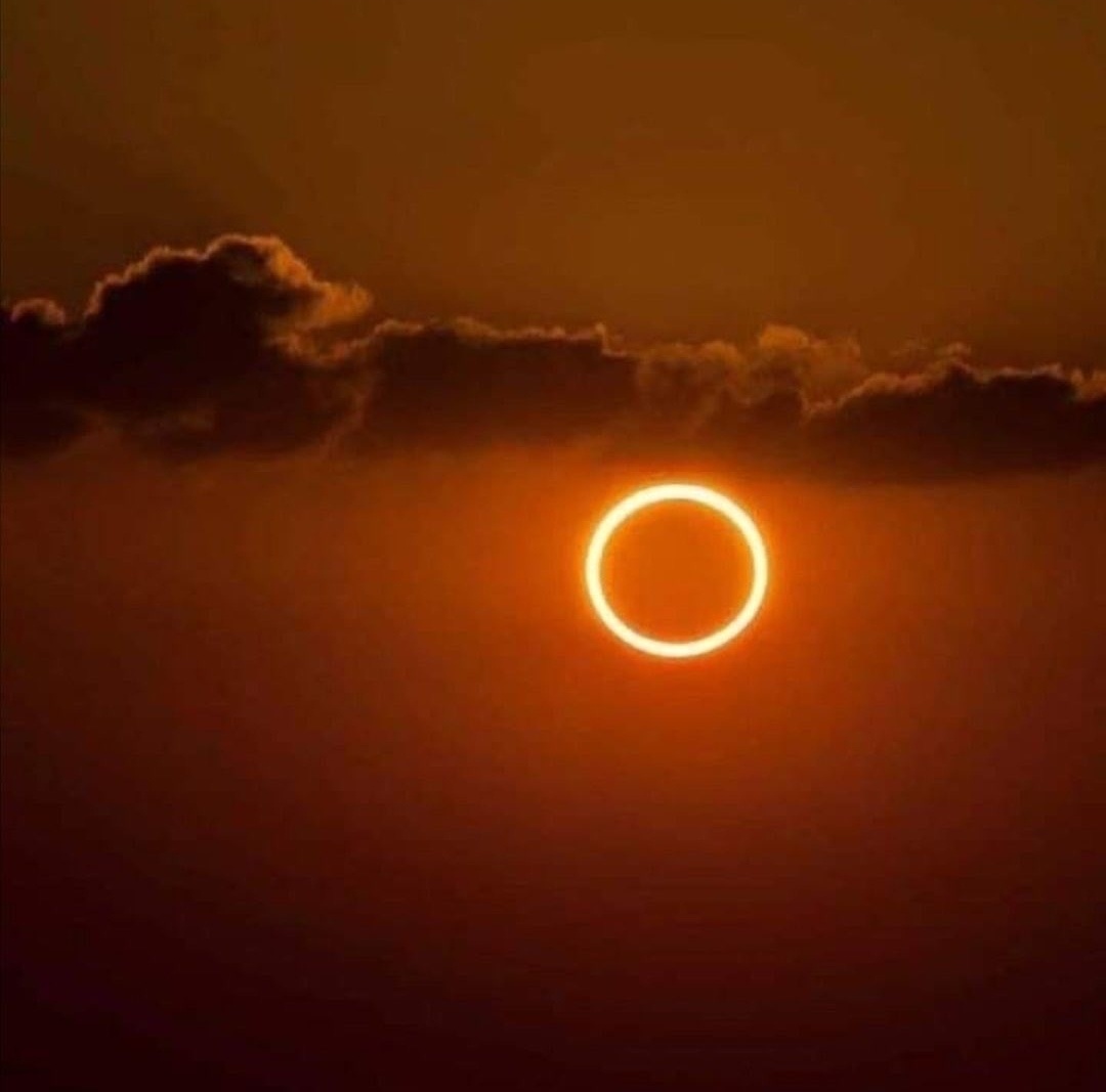 The stunning "Ring of Fire" Solar Eclipse. r/interestingasfuck